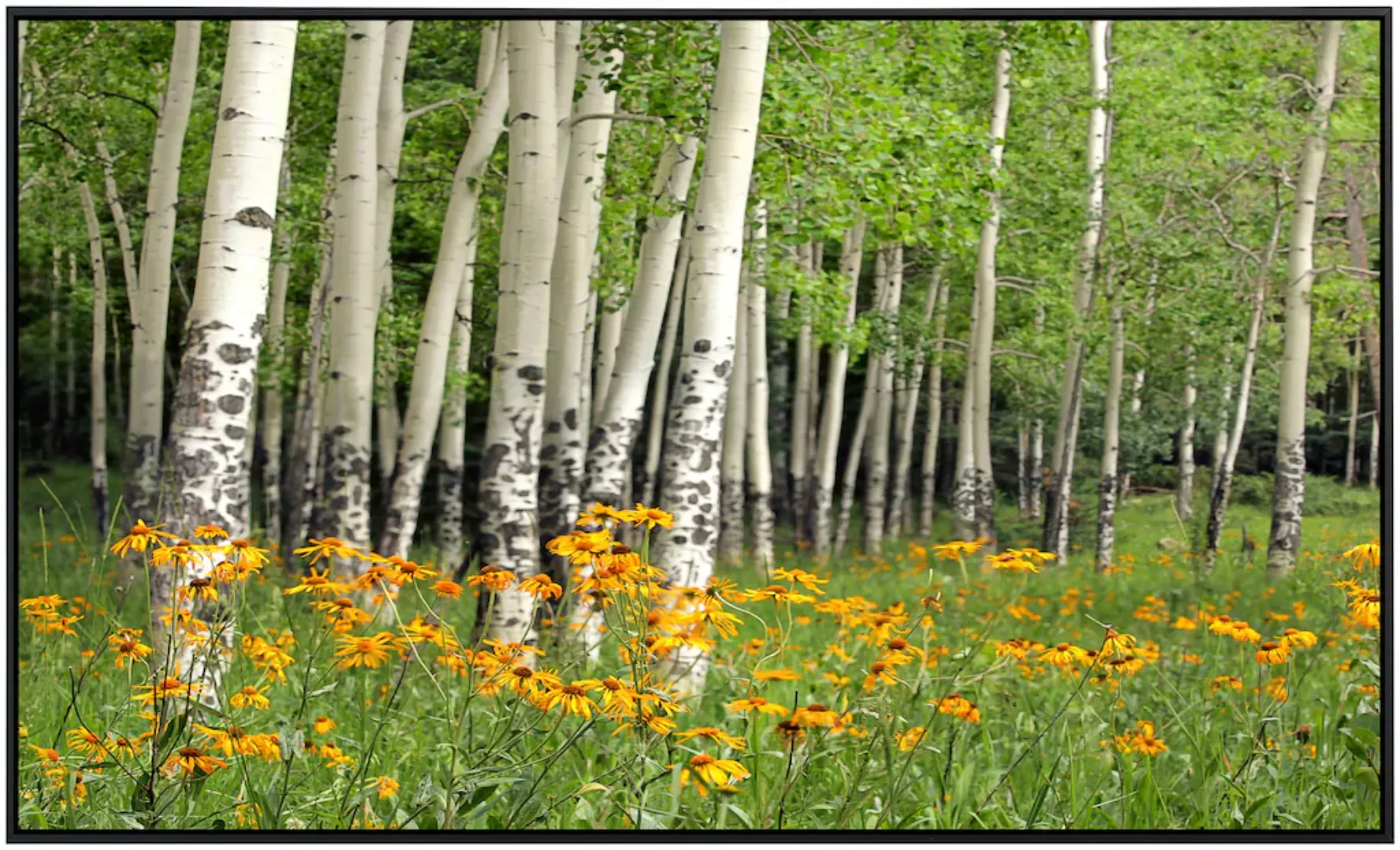 Papermoon Infrarotheizung »Aspen Grove und Orange Wildflowers« günstig online kaufen