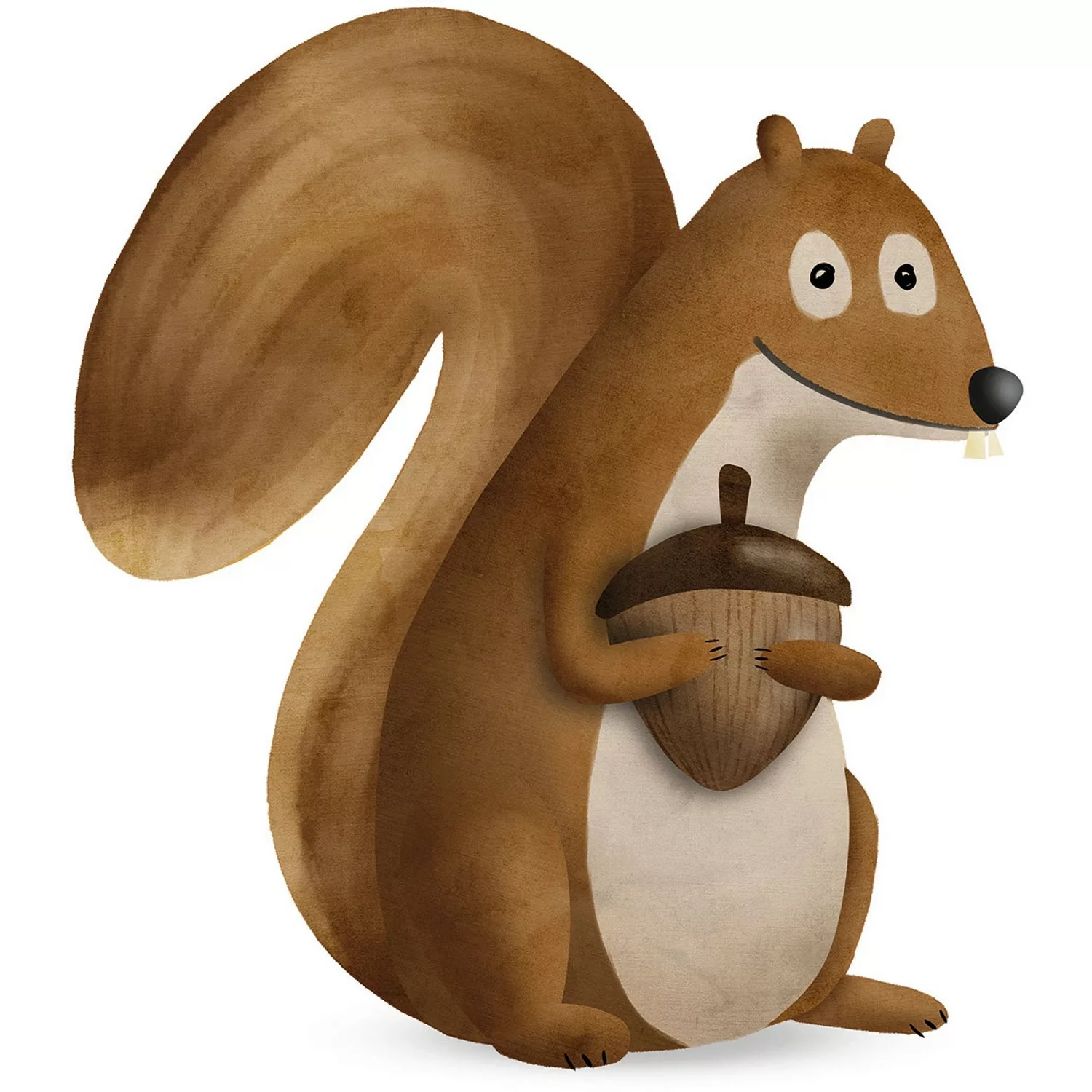 Komar Poster "Cute Animal Squirrel", Tiere, (1 St.), Kinderzimmer, Schlafzi günstig online kaufen