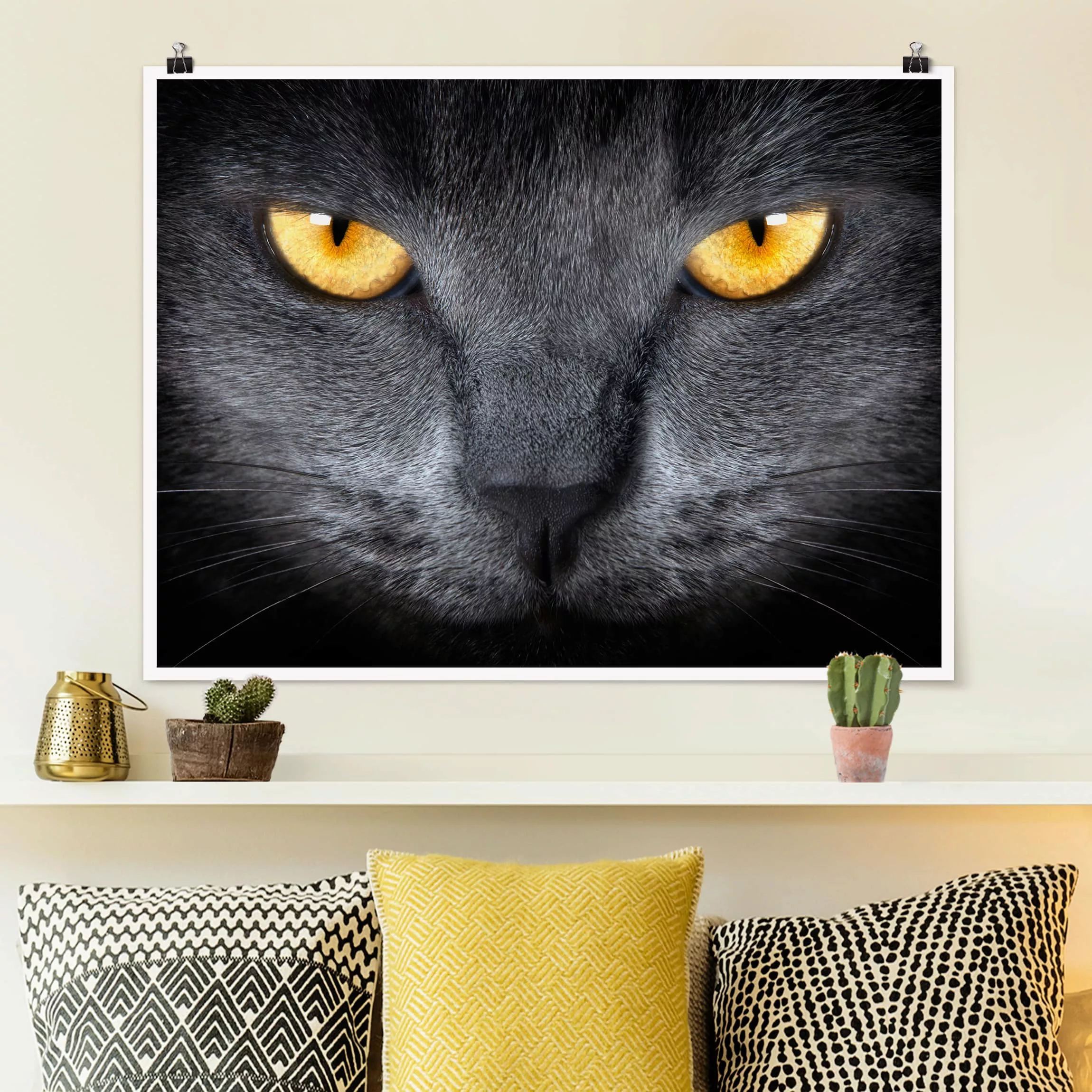 Poster Tiere - Querformat Cats Gaze günstig online kaufen