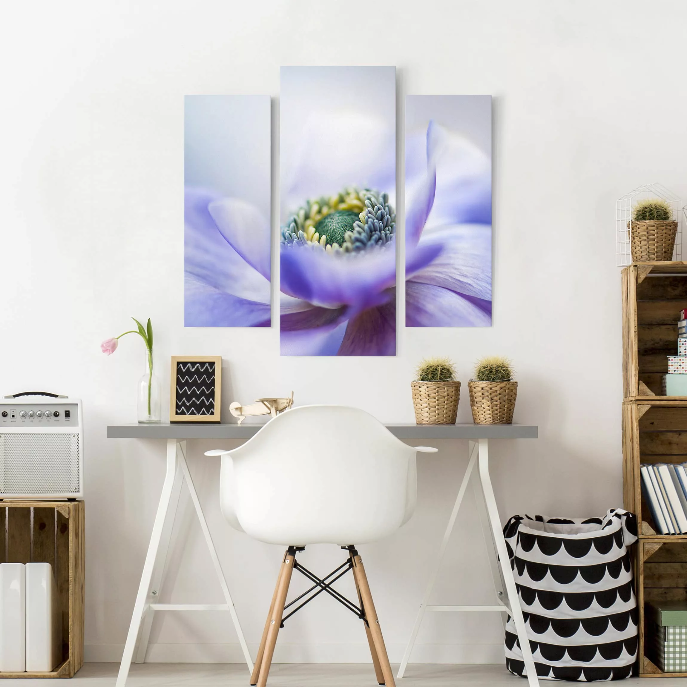 3-teiliges Leinwandbild Blumen - Querformat Anemone De Caen günstig online kaufen