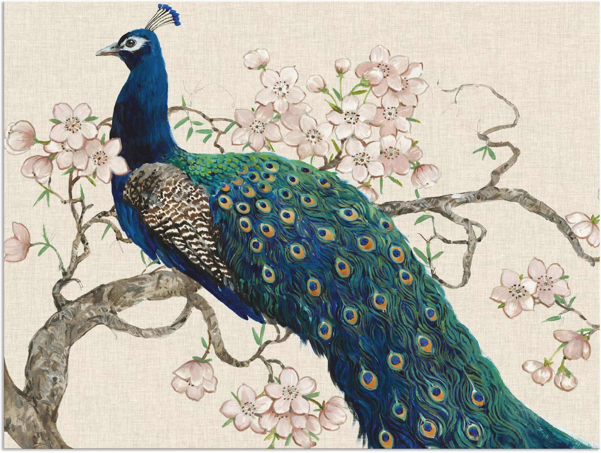 Artland Wandbild »Pfau & Blüten II«, Vögel, (1 St.), als Alubild, Outdoorbi günstig online kaufen