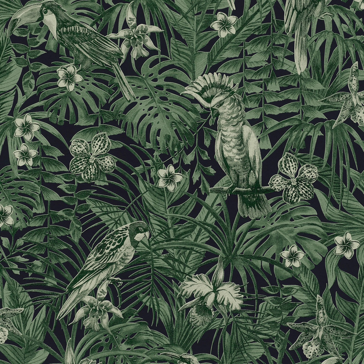 Bricoflor Palmen Tapete in Schwarz Weiß Vogel Vliestapete mit Palmenblätter günstig online kaufen