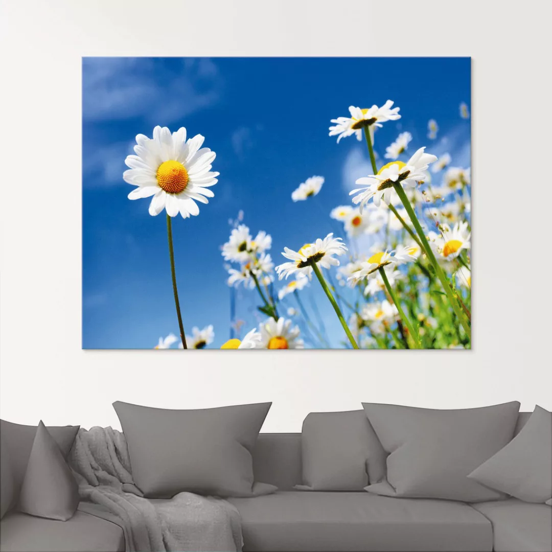 Artland Glasbild "Gänseblümchen", Blumenwiese, (1 St.), in verschiedenen Gr günstig online kaufen