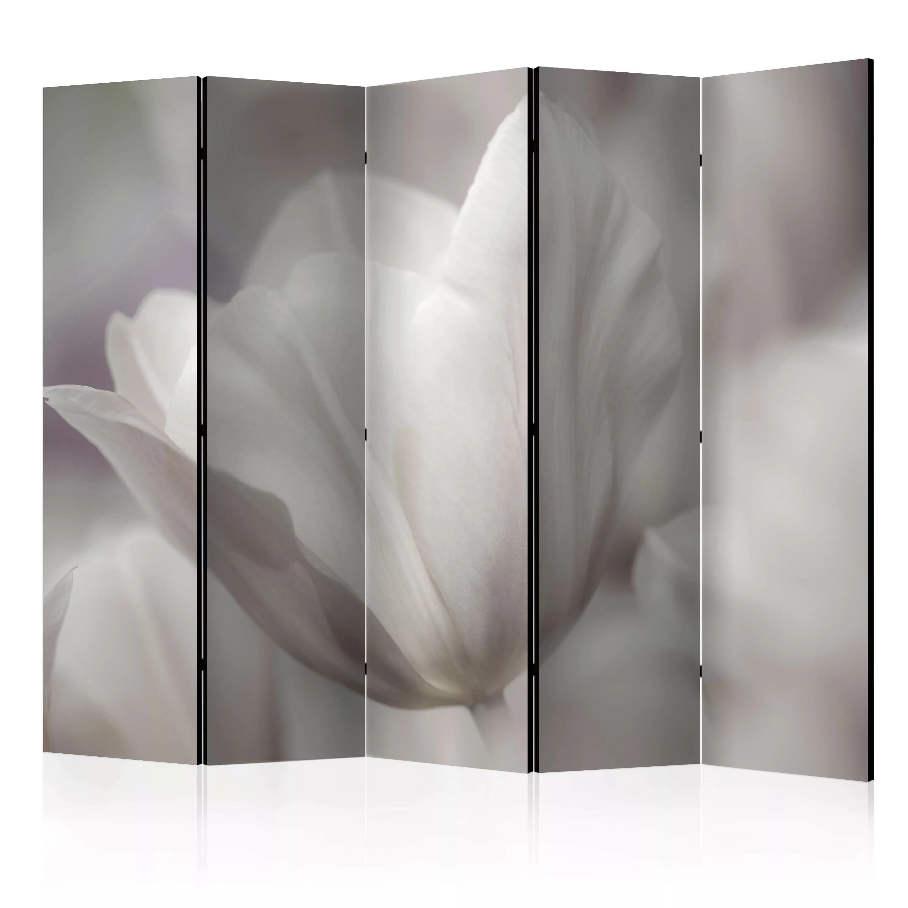 5-teiliges Paravent - Tulip - Black And White Photo Ii [room Dividers] günstig online kaufen