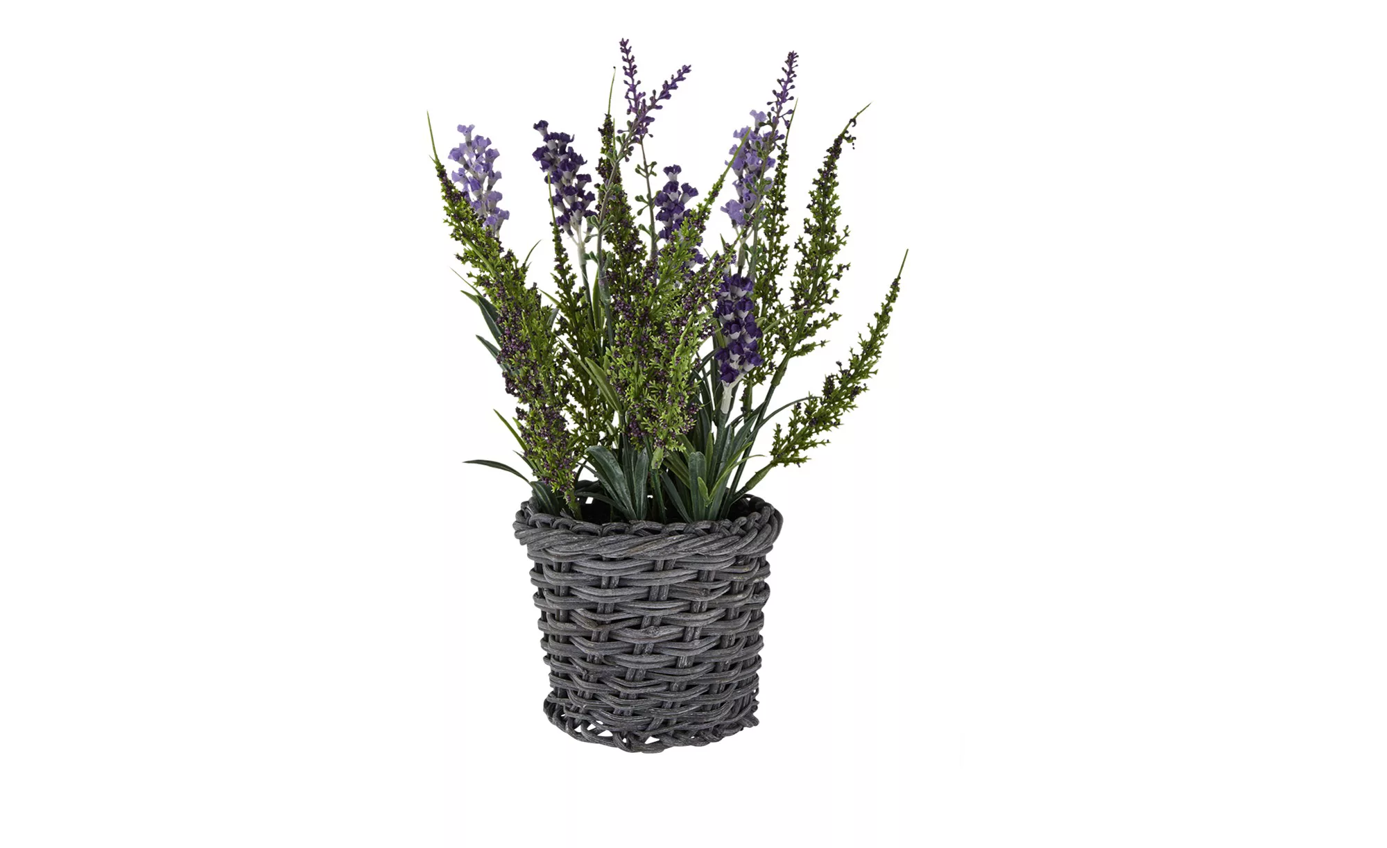 Lavendel im Korb - lila/violett - Kunststoff, Rattan - 30 cm - Dekoration > günstig online kaufen