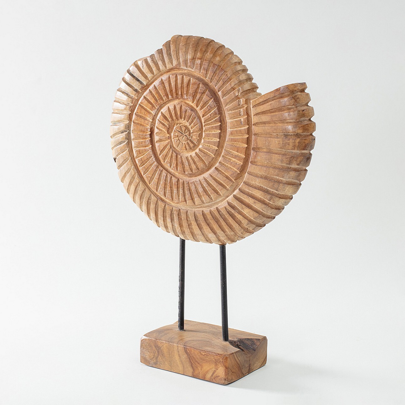 Dekoration Fossil 45 cm, 34x10x45 cm günstig online kaufen