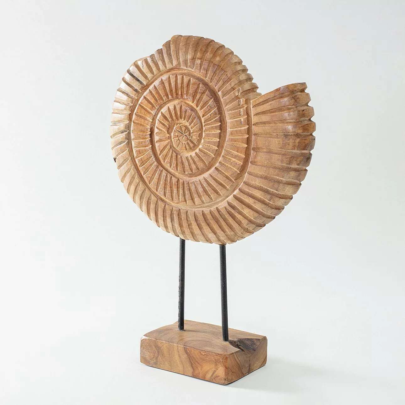 Dekoration Fossil 45 cm, 34x10x45 cm günstig online kaufen