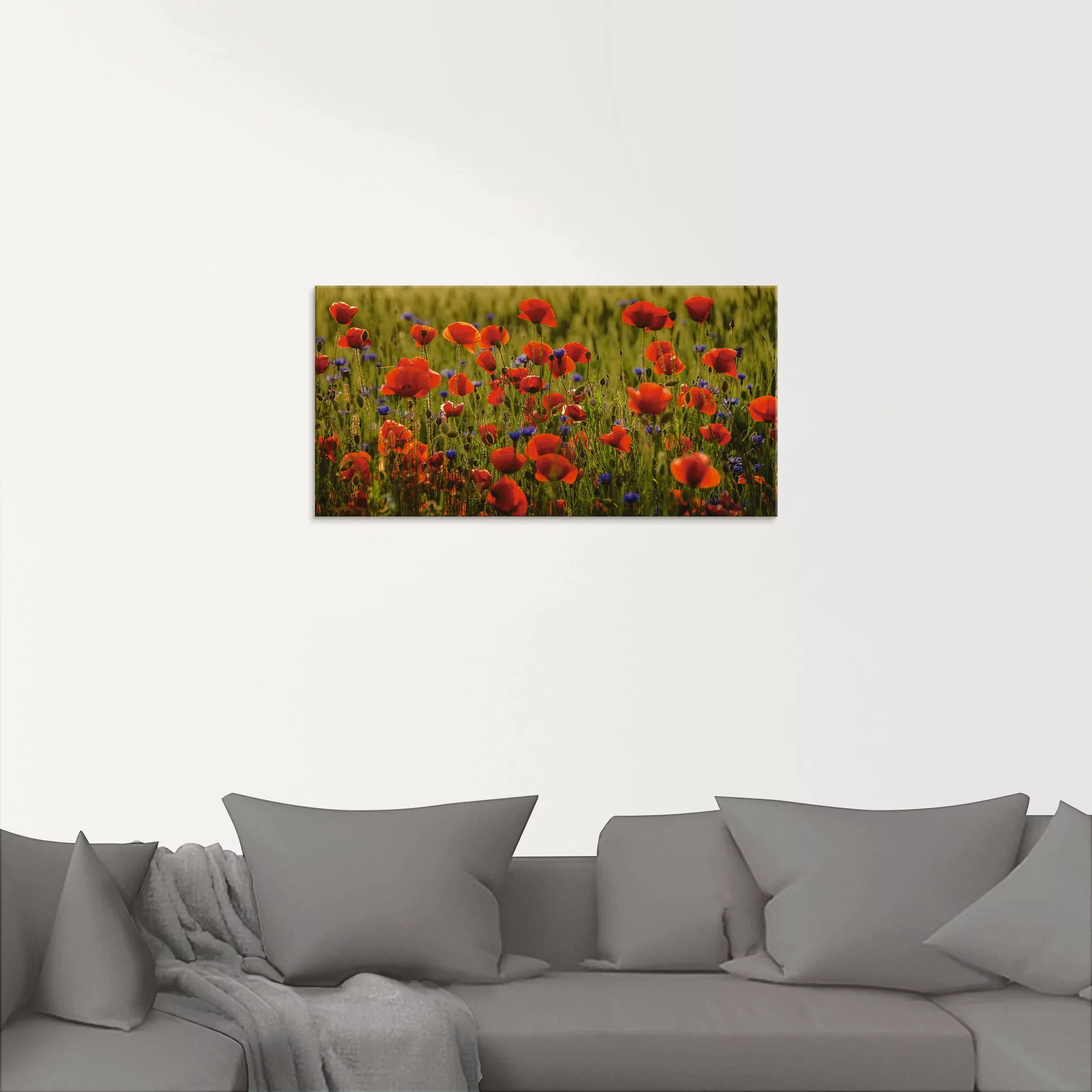 Artland Glasbild "Sommermohn", Blumen, (1 St.), in verschiedenen Größen günstig online kaufen