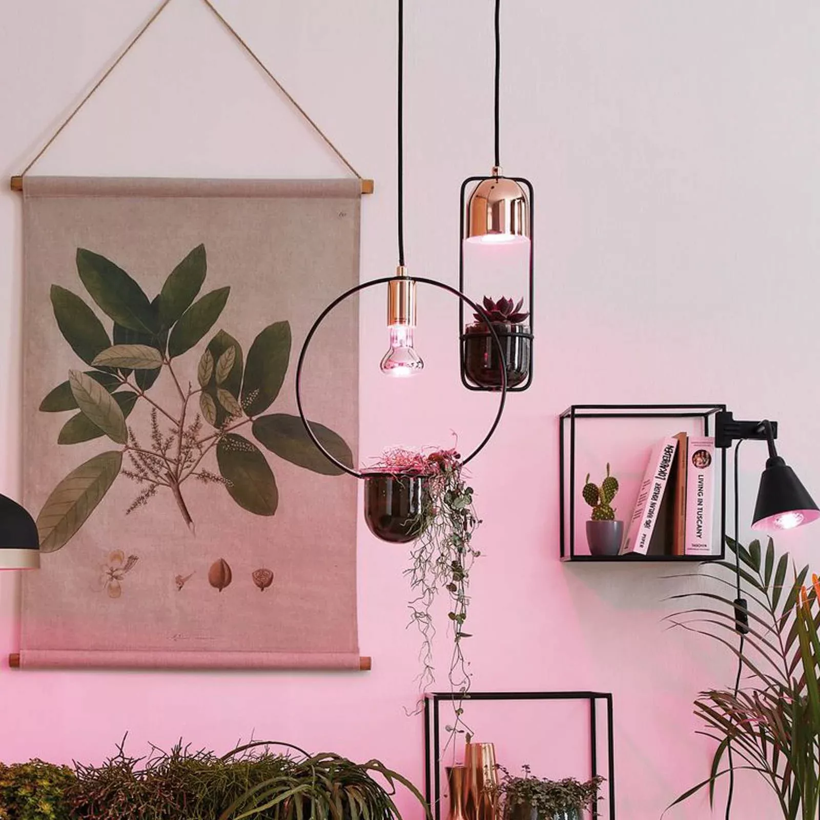 Paulmann Pflanzenlampe Paulmann LED-Pflanzenlampe Wachstum 230 günstig online kaufen
