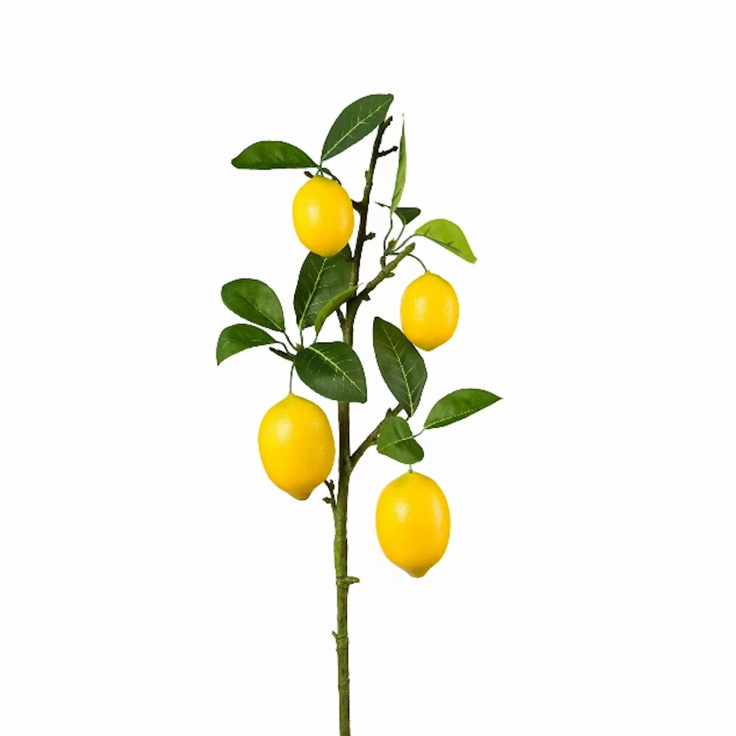 Kunstblume Früchtezweig, Gasper, Höhe 68 cm, günstig online kaufen