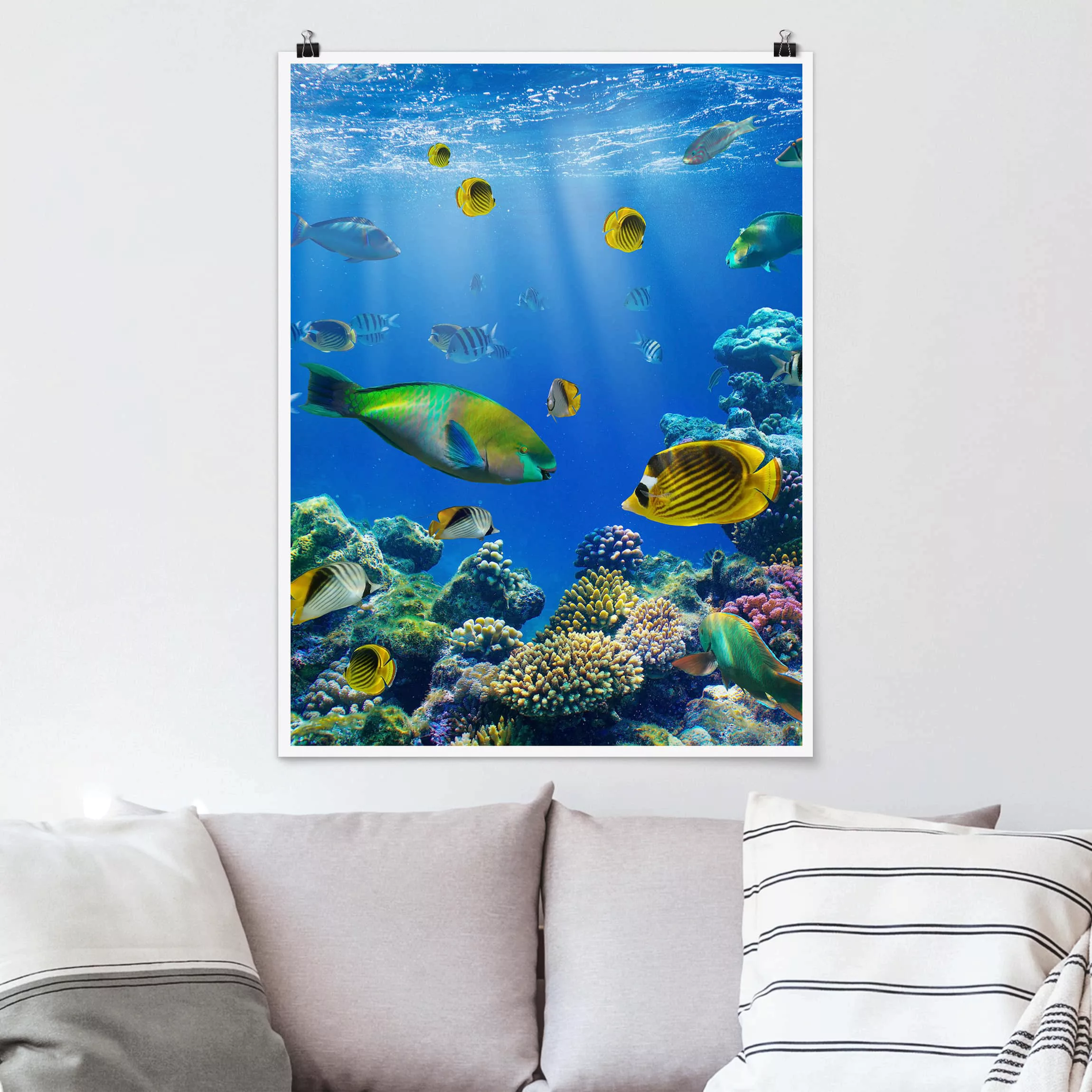 Poster Tiere - Hochformat Underwater Lights günstig online kaufen