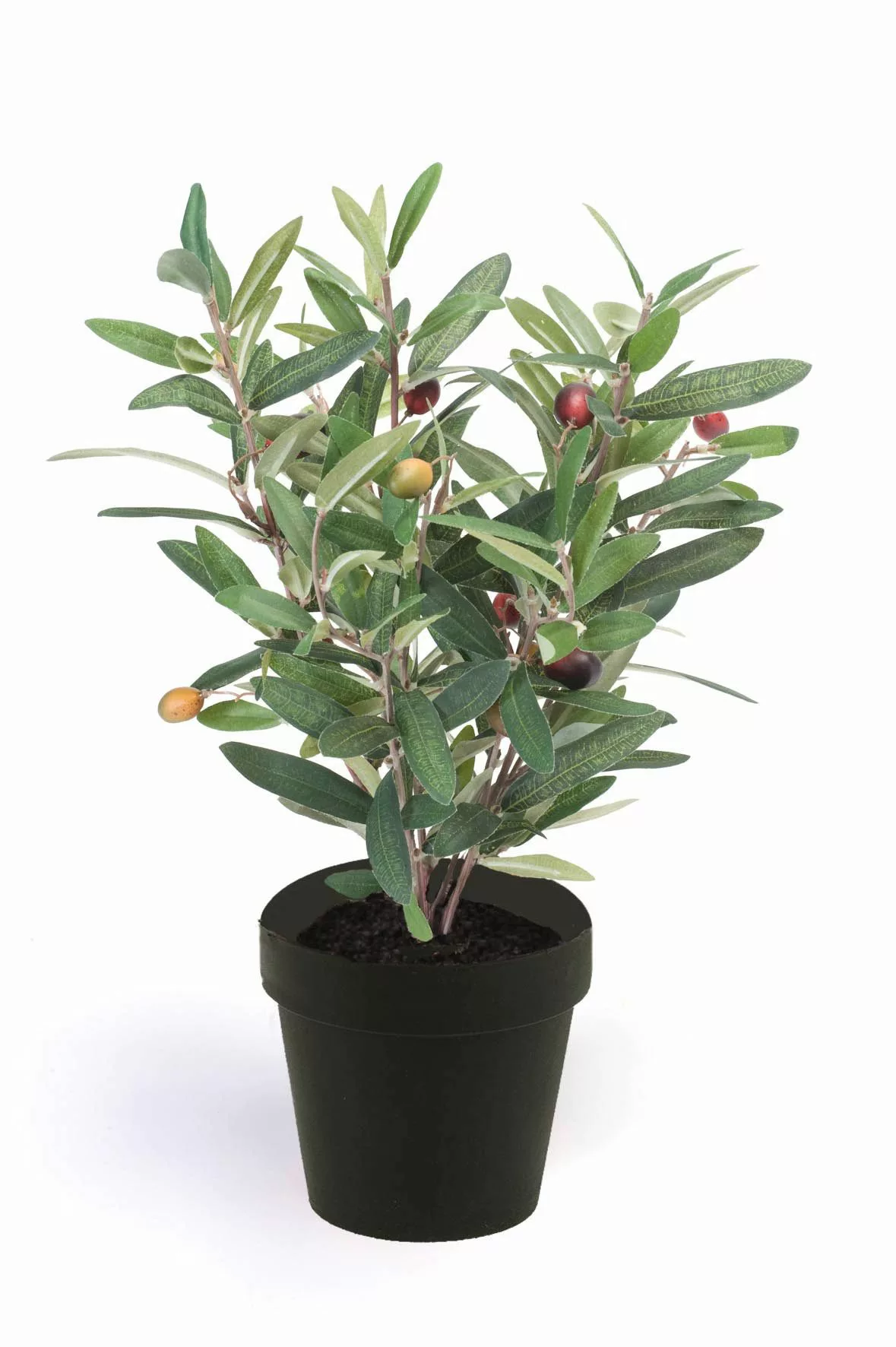 Künstliche Zimmerpflanze Grün, Durchmesser 11 cm, günstig online kaufen