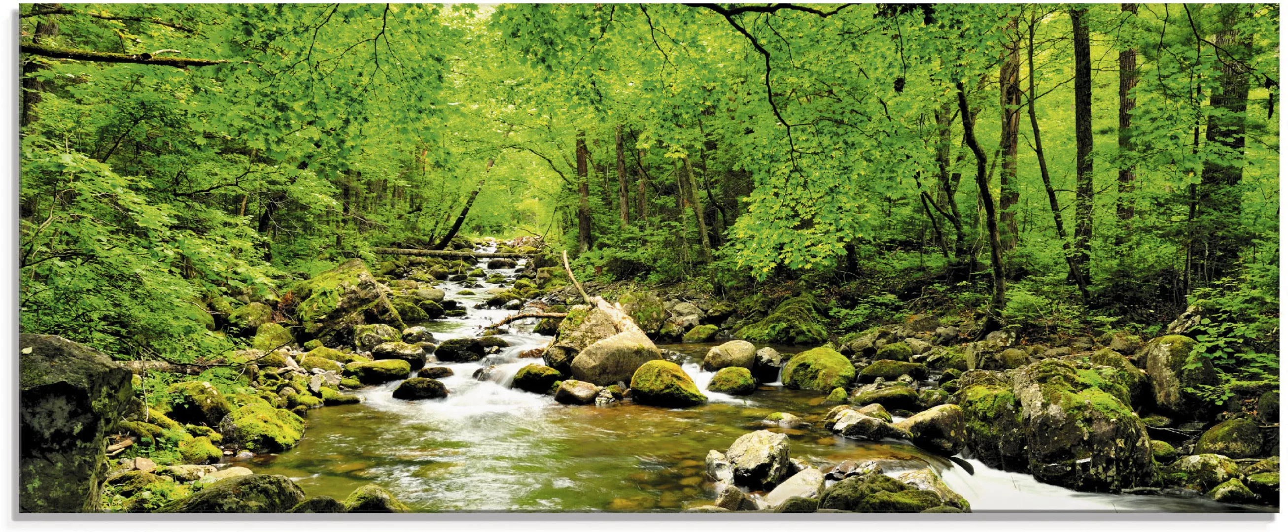 Artland Glasbild "Herbstwald Fluss Smolny", Wald, (1 St.), in verschiedenen günstig online kaufen