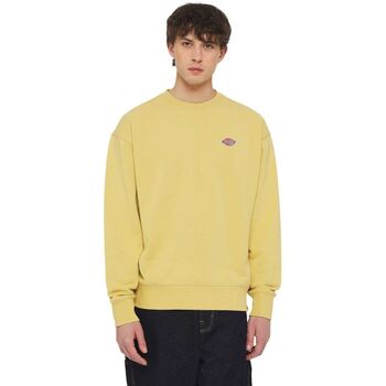 Dickies  Sweatshirt MILLERSBURG CREW DK0A4YLZ-H131 FALL LEAF günstig online kaufen