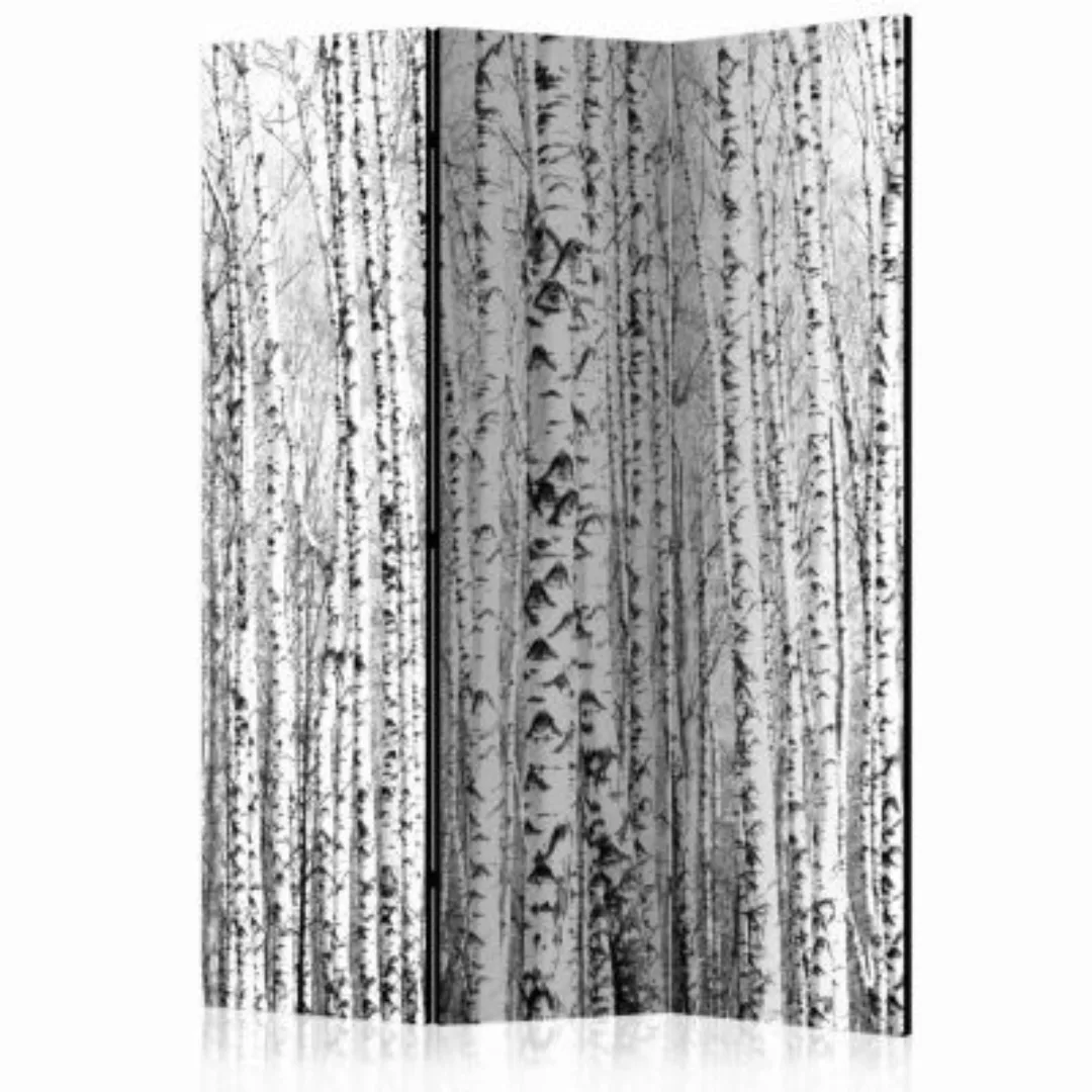 artgeist Paravent Birch forest [Room Dividers] schwarz/weiß Gr. 135 x 172 günstig online kaufen