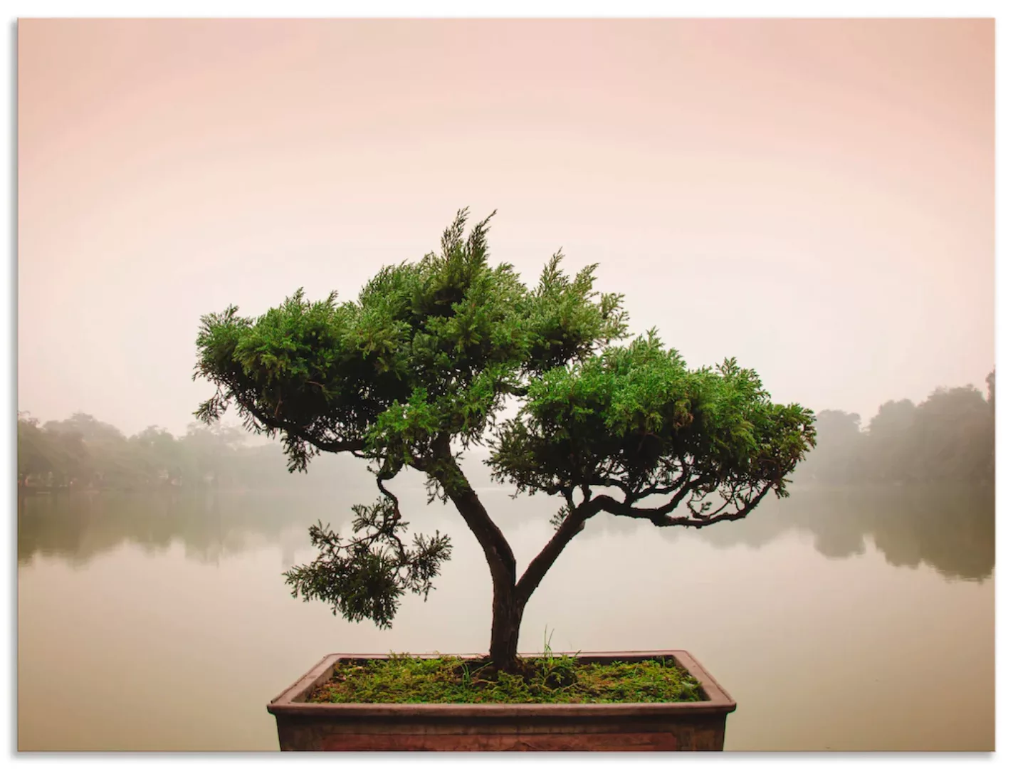 Artland Wandbild "Chinesischer Bonsaibaum", Bäume, (1 St.), als Alubild, Ou günstig online kaufen