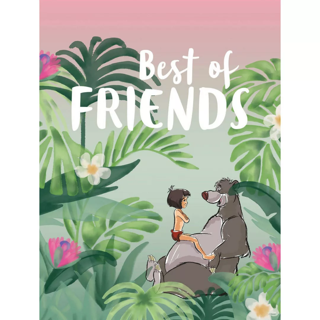 Komar Wandbild Jungle Book Best of Friends Disney B/L: ca. 30x40 cm günstig online kaufen