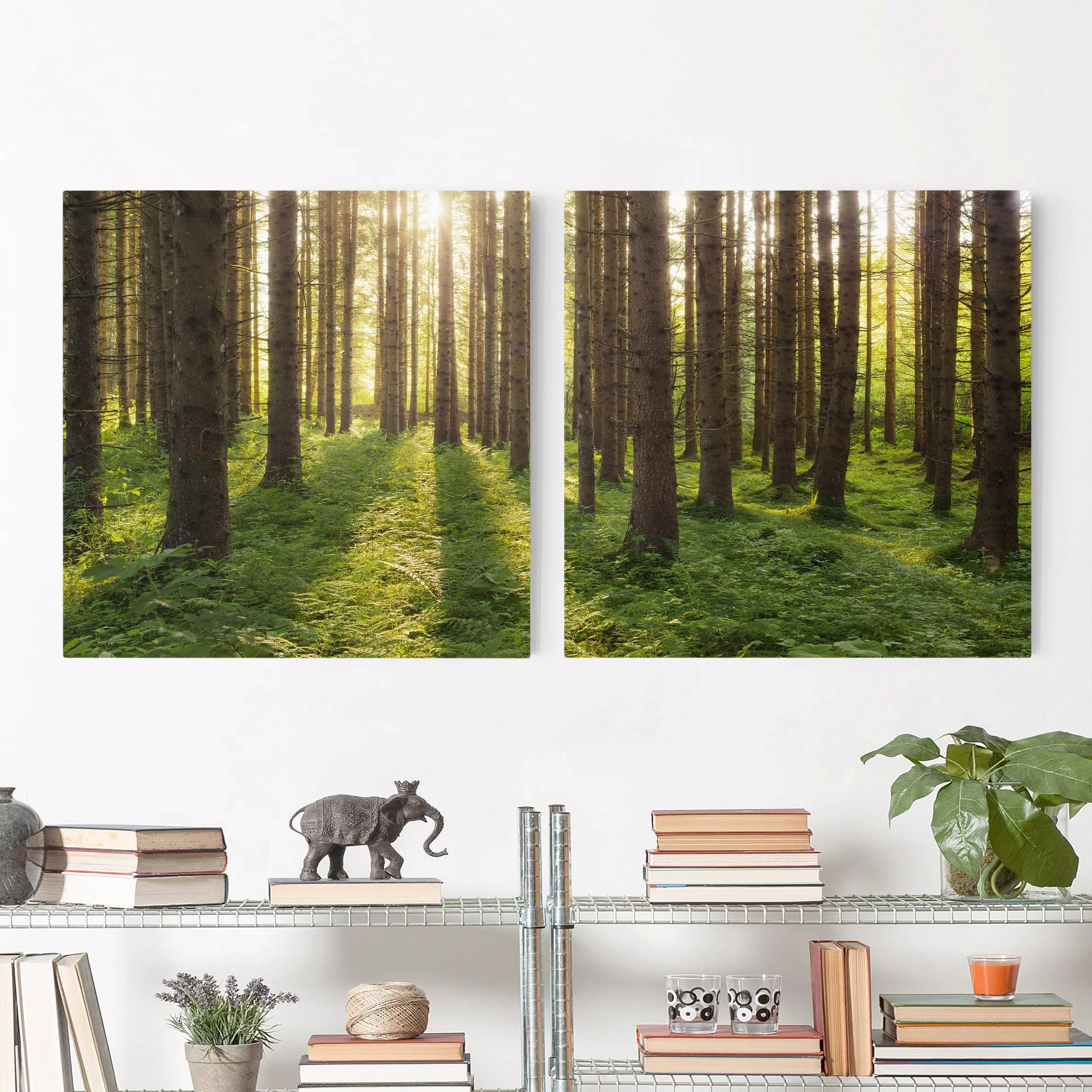 2-teiliges Leinwandbild Wald Sonnenstrahlen in grünem Wald günstig online kaufen