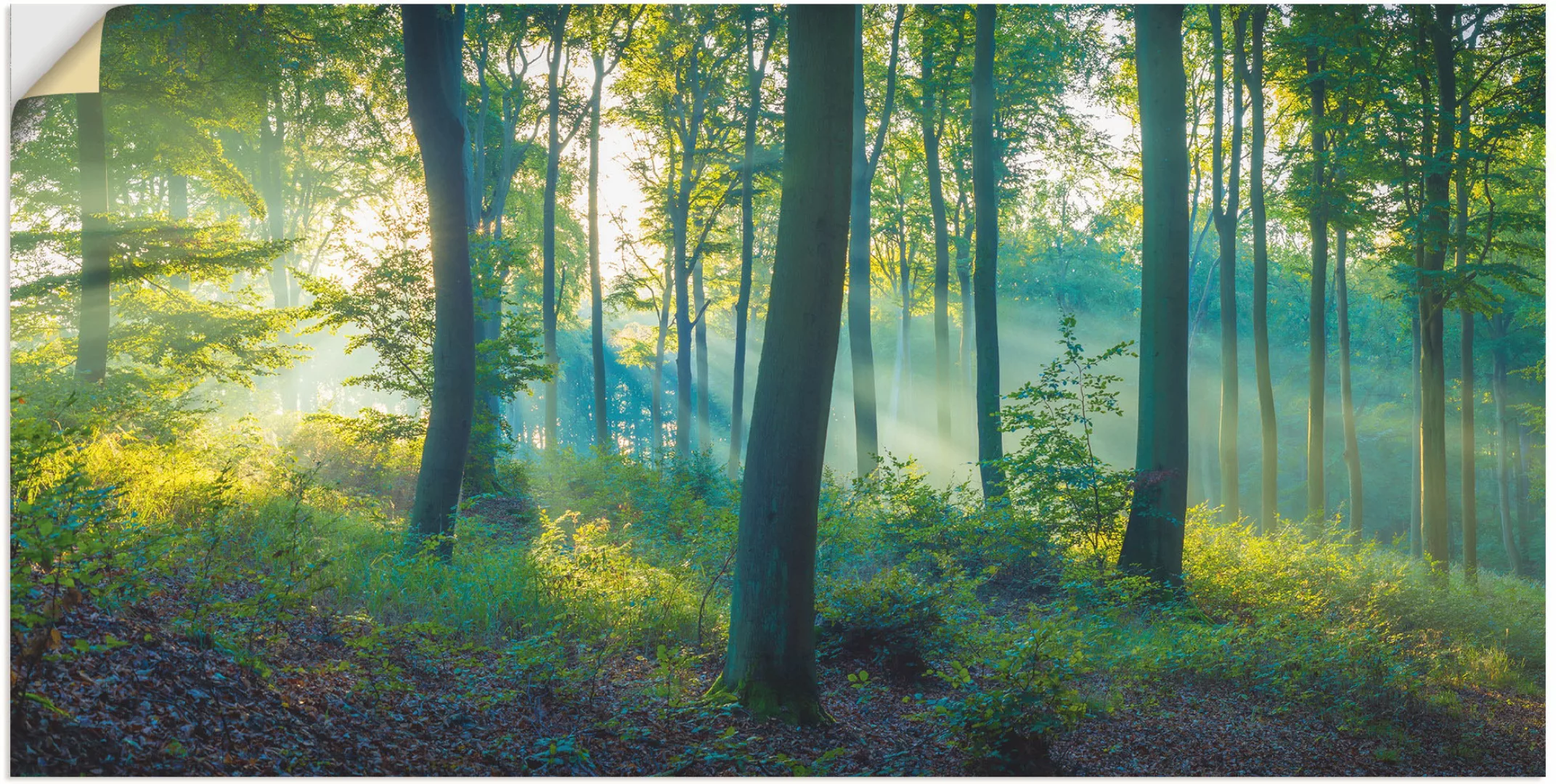 Artland Wandbild "Wald Panorama", Waldbilder, (1 St.), als Alubild, Outdoor günstig online kaufen