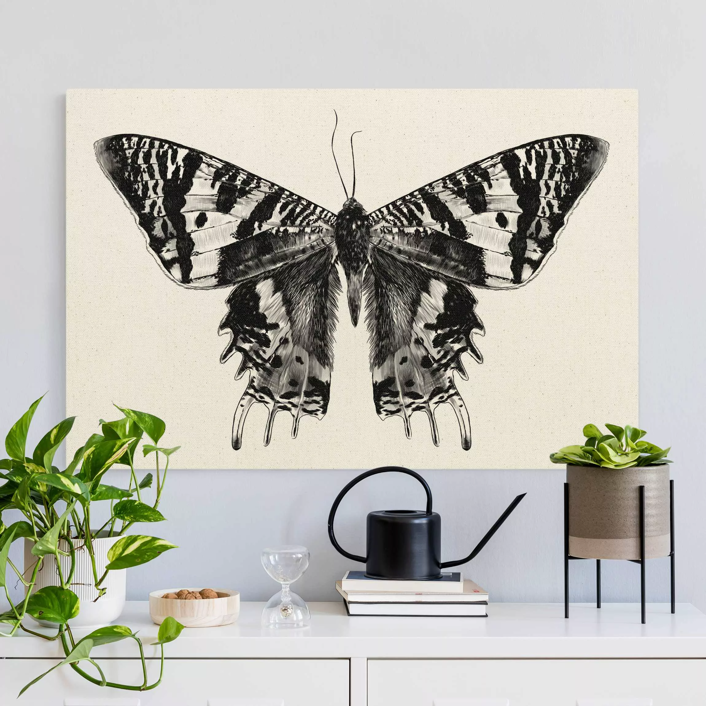 Leinwandbild auf Naturcanvas Illustration fliegender Madagaskar Schmetterli günstig online kaufen