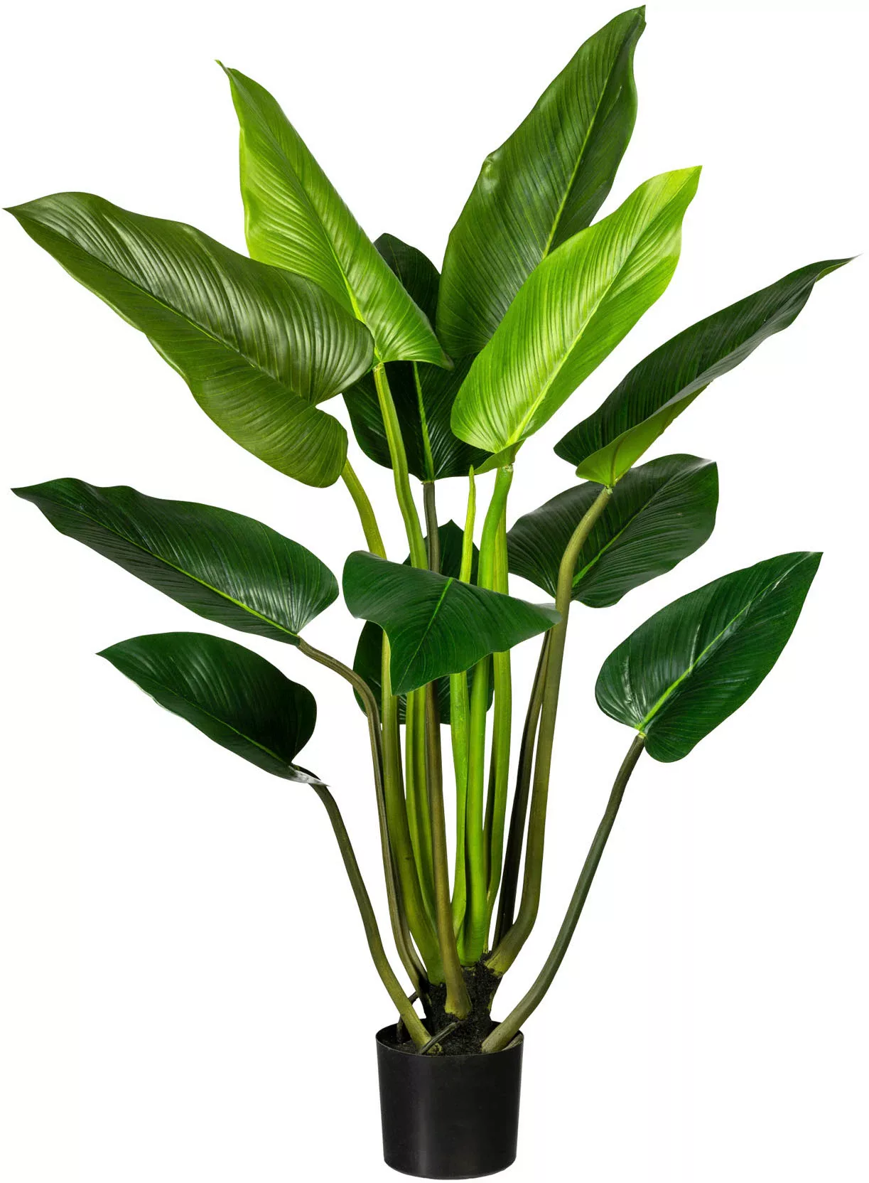 Creativ green Künstliche Zimmerpflanze »Philodendron« günstig online kaufen