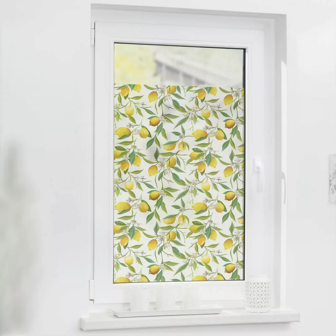 LICHTBLICK Fensterfolie Limone  Limone gelb grün B/L: ca. 50x50 cm günstig online kaufen