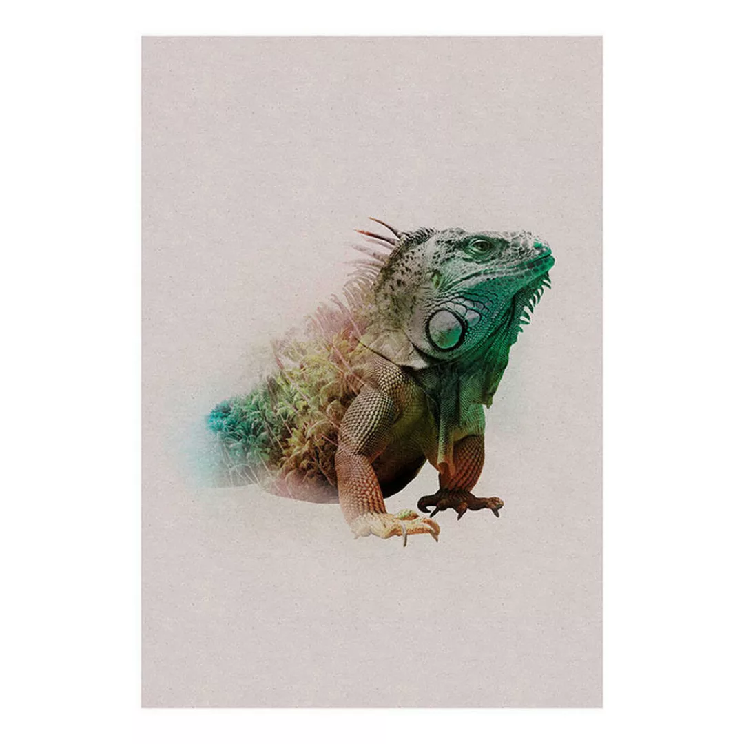 KOMAR Wandbild - Animals Paradise Iguana - Größe: 50 x 70 cm mehrfarbig Gr. günstig online kaufen