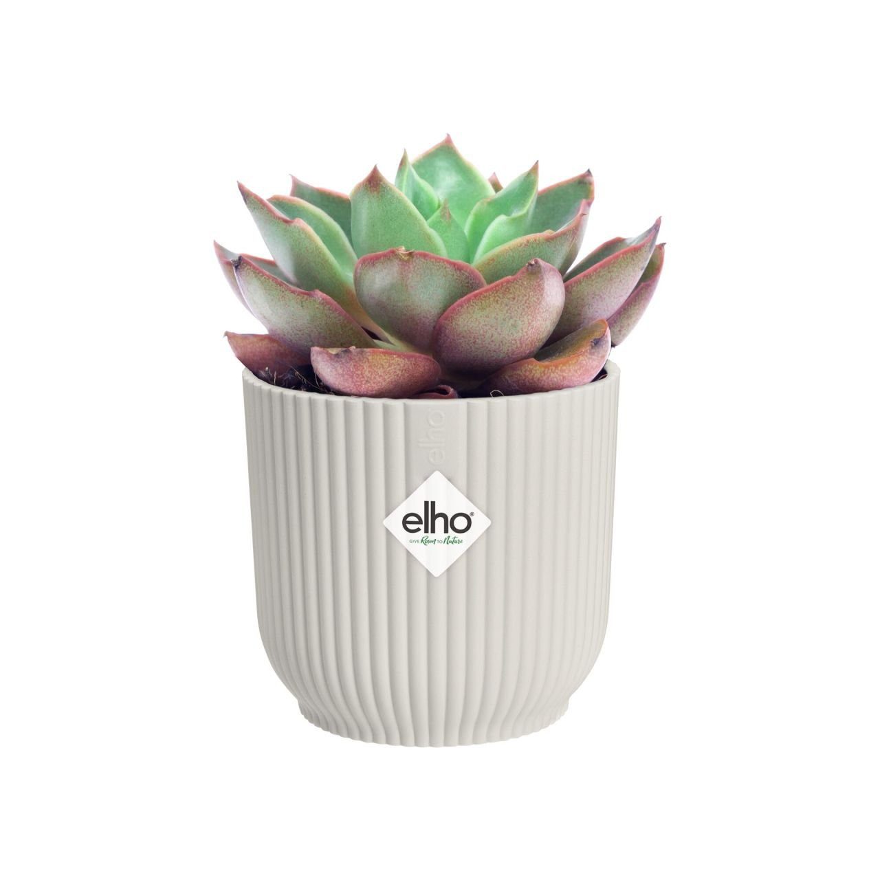 Elho Blumentopf Elho Pflanztopf Vibes 9 günstig online kaufen
