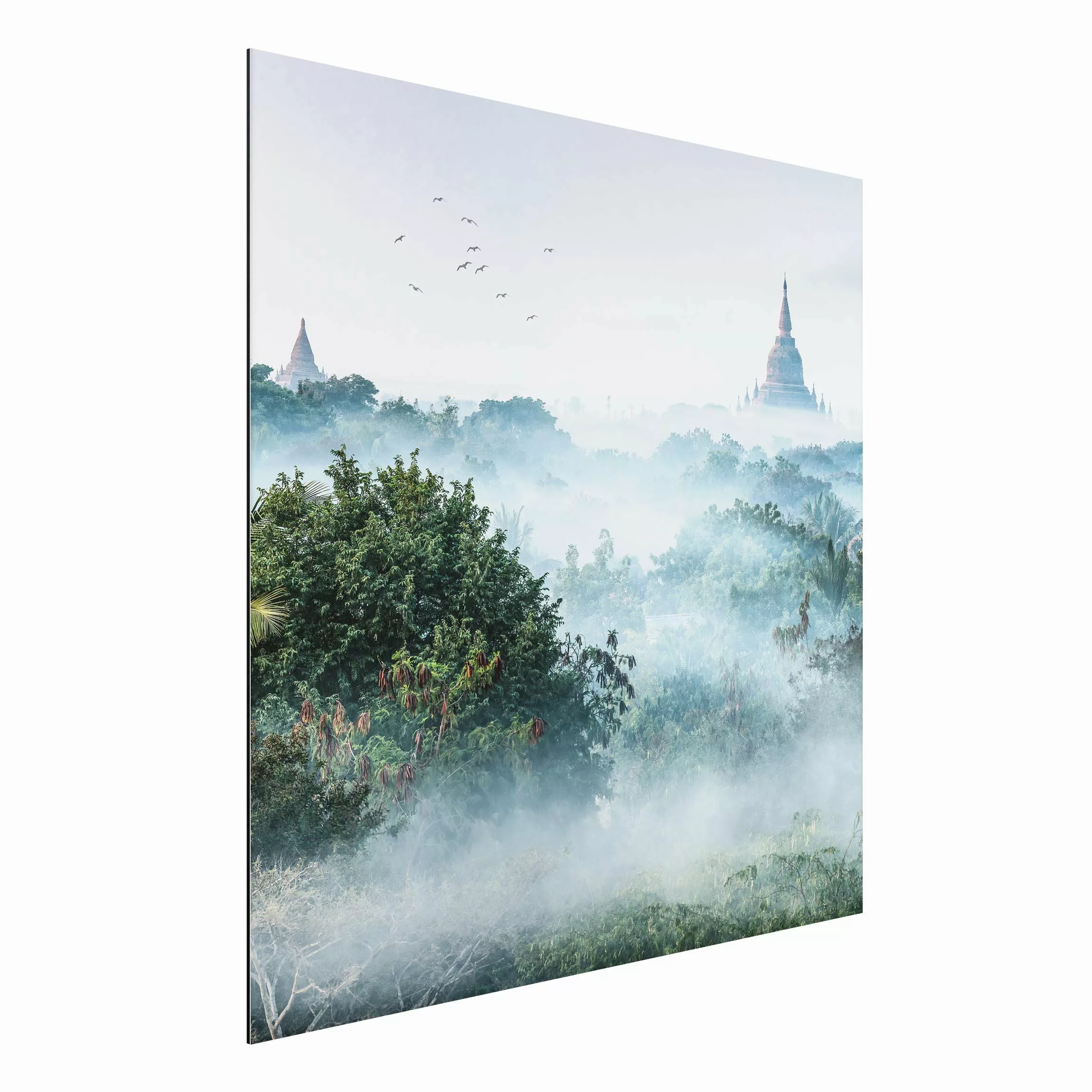 Alu-Dibond Bild Morgennebel über dem Dschungel von Bagan günstig online kaufen