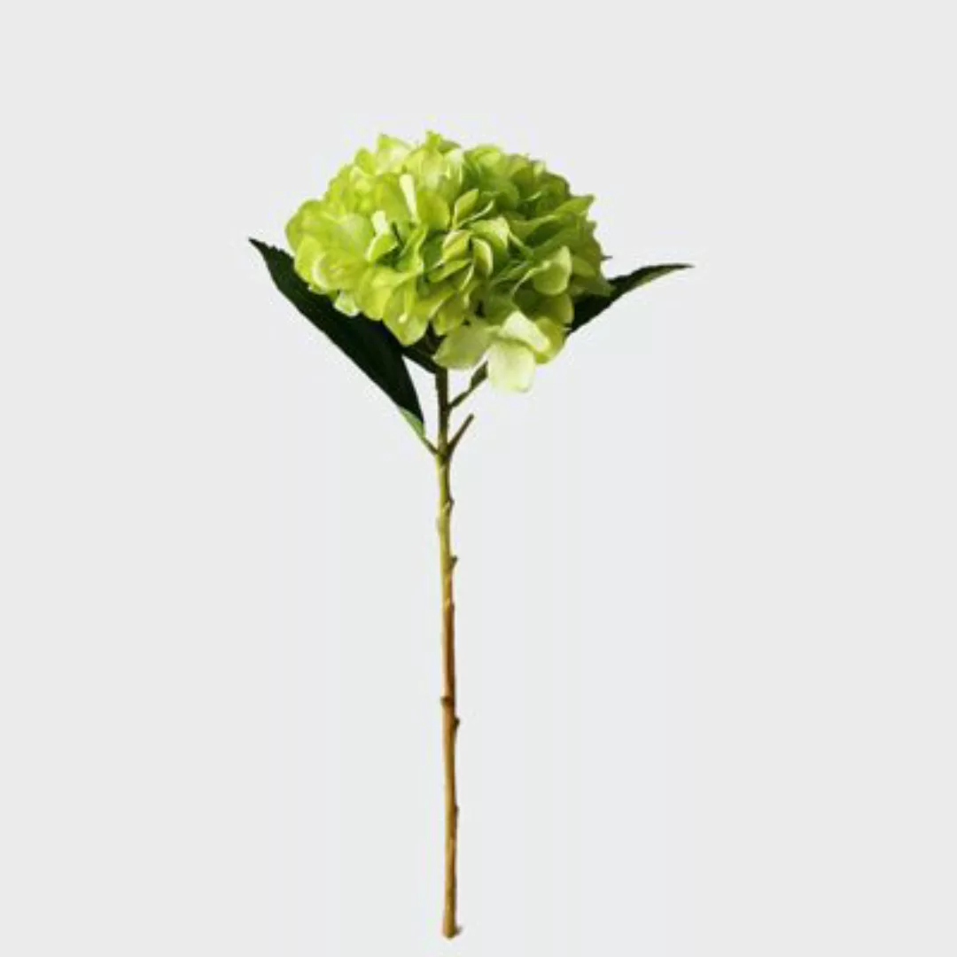 HTI-Living Hortensie Grün Kunstblume Flora grün günstig online kaufen