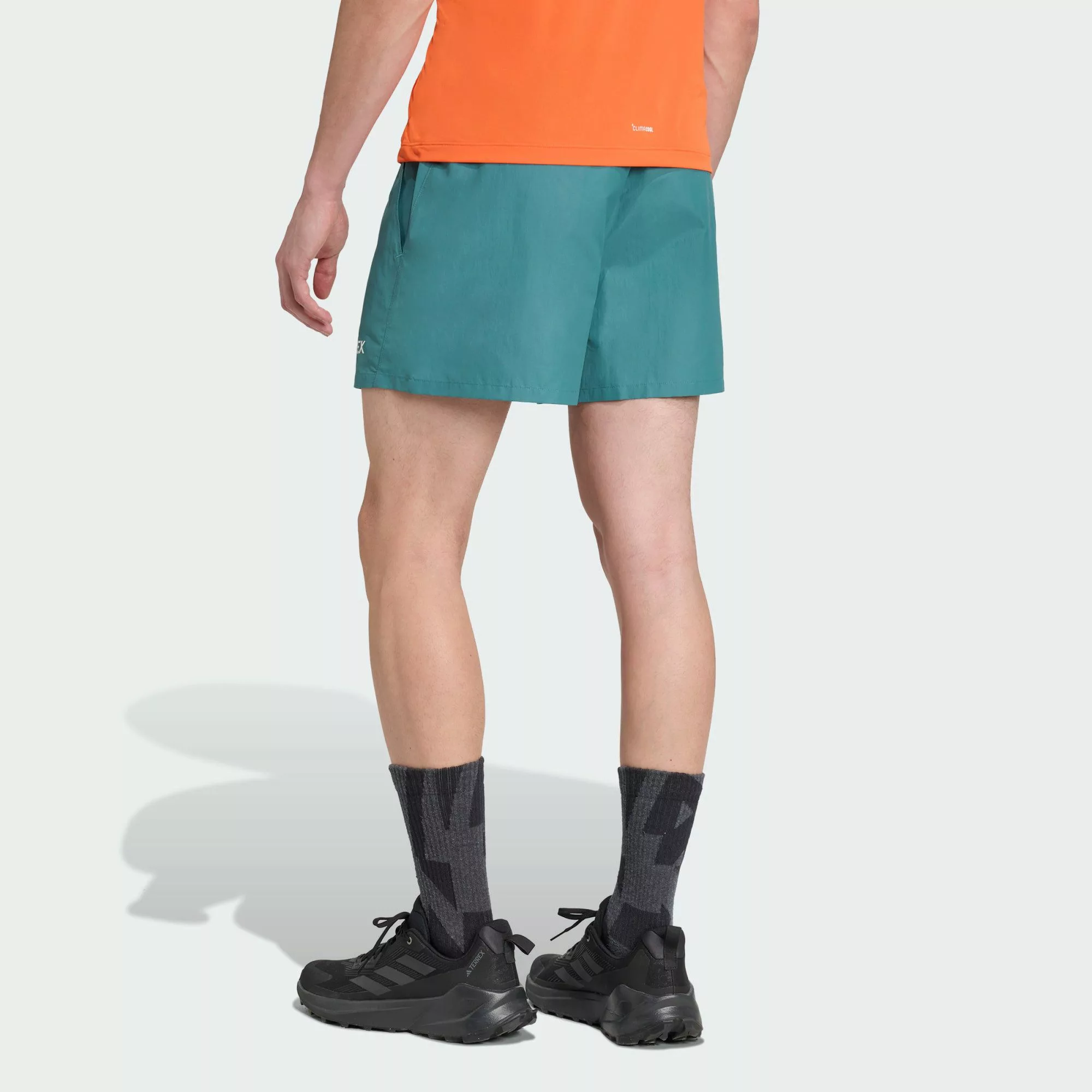 adidas TERREX Shorts TERREX MULTI SHORTS günstig online kaufen