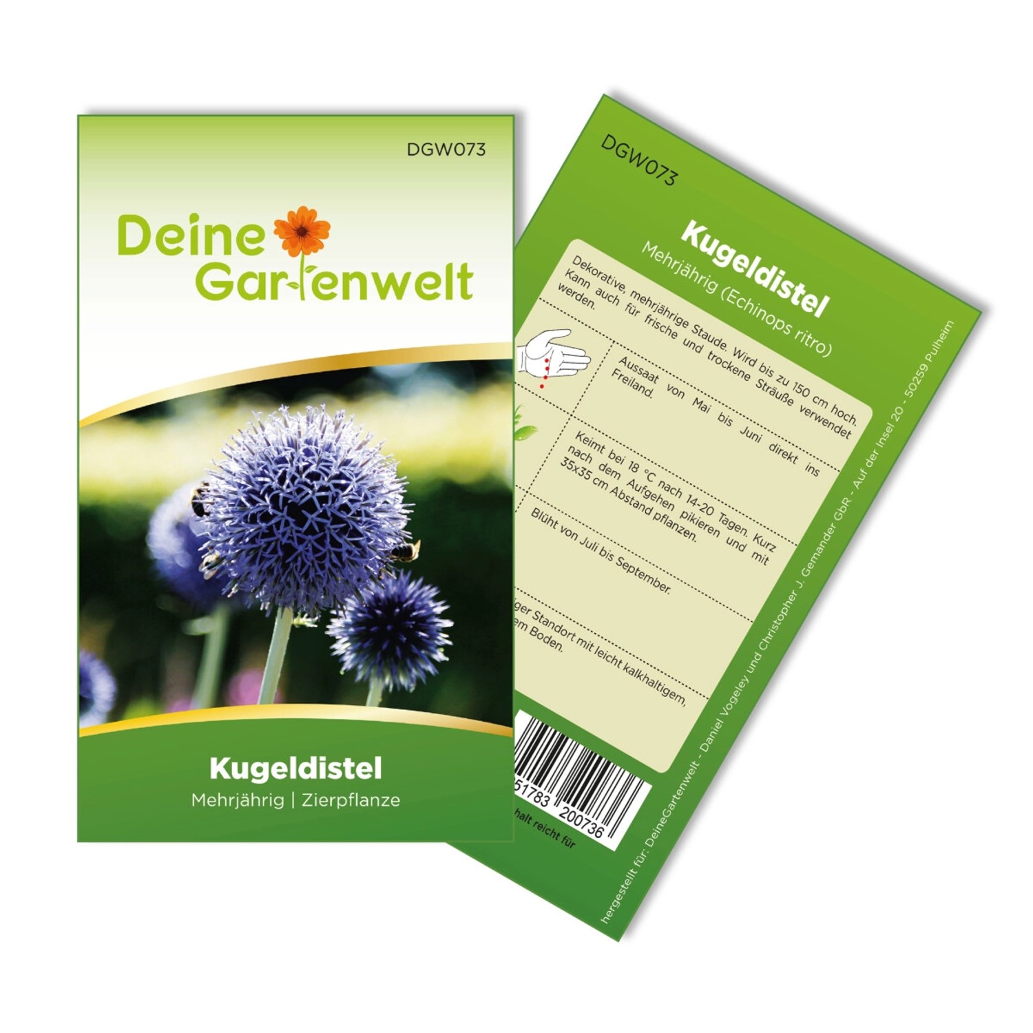Deine Gartenwelt Kugeldistel Samen günstig online kaufen