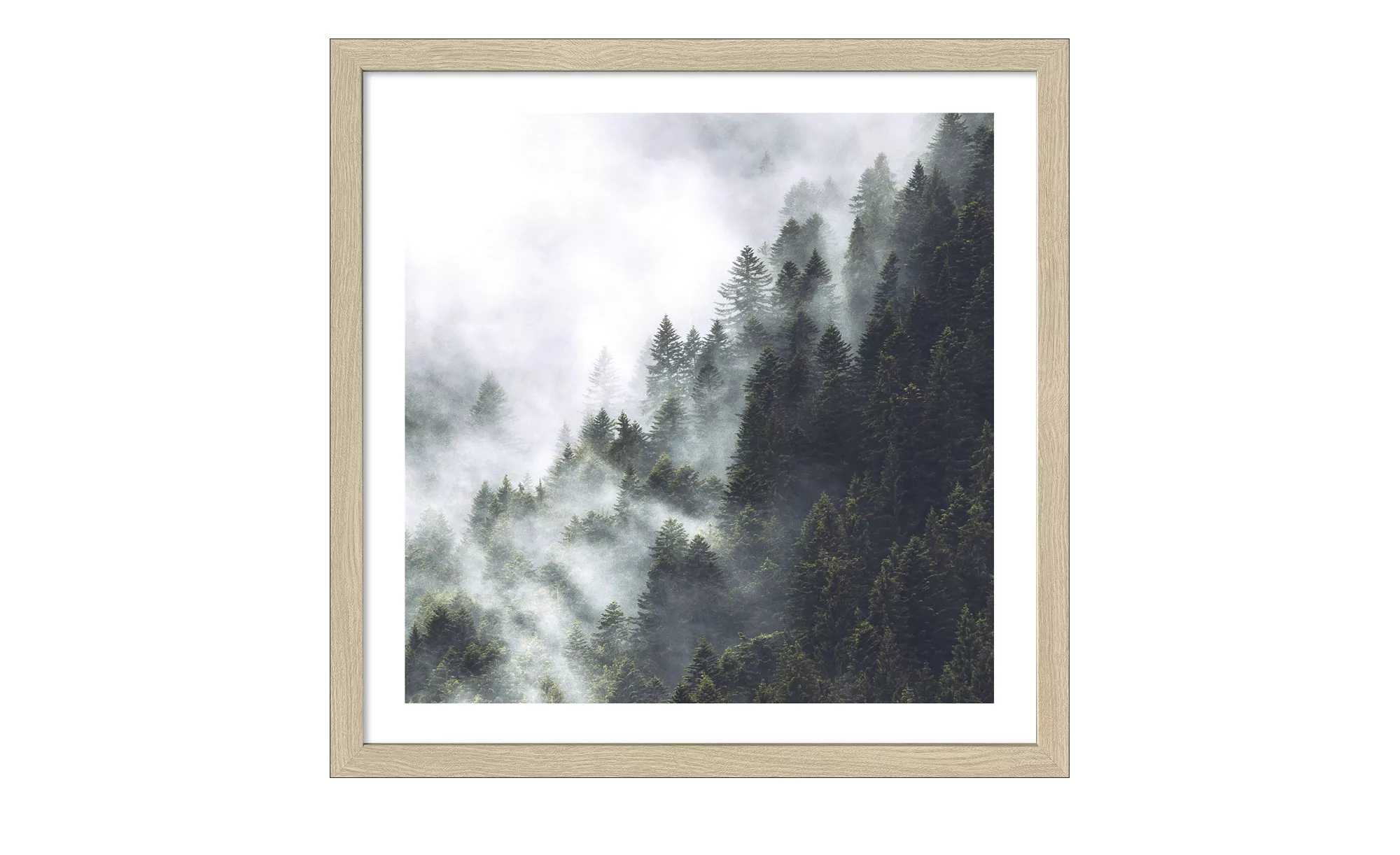 Gerahmtes Bild 33x33 cm  Foggy Trees - 33 cm - 33 cm - Sconto günstig online kaufen