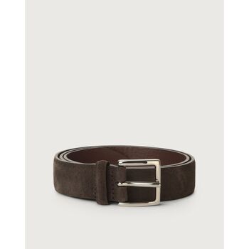 Orciani  Gürtel U08211 - AMALFI IN PELLE SCAMOSCIATA-TESTA DI MORO günstig online kaufen