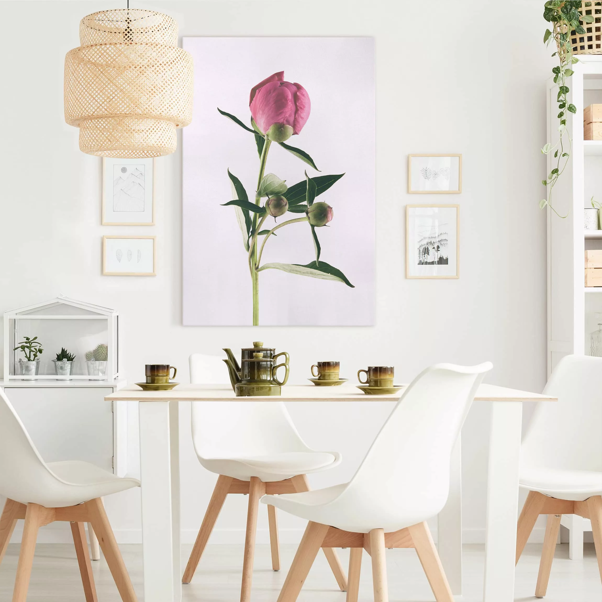 Leinwandbild Blumen - Hochformat Pfingstrose Pink auf Weiß günstig online kaufen