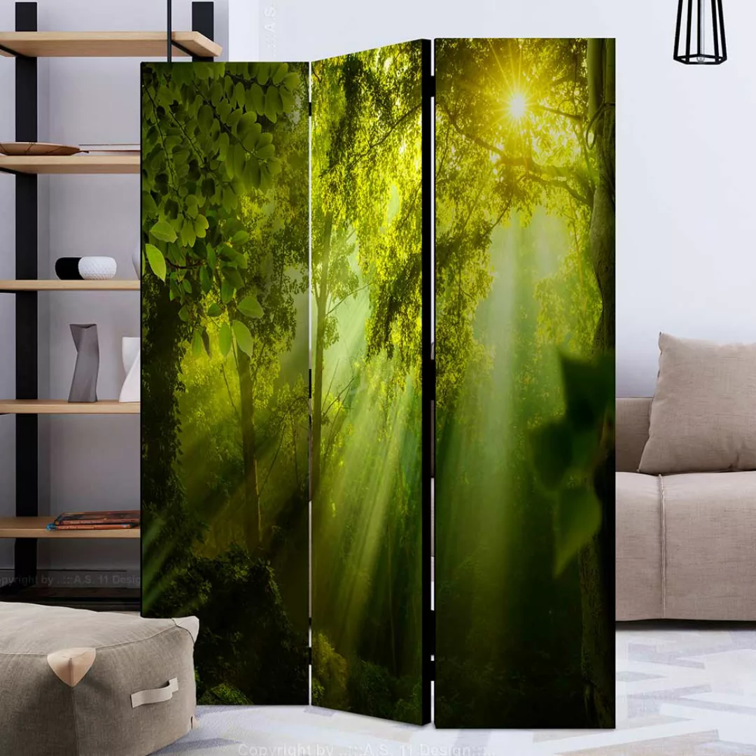 Naturmotiv Paravent blickdichte Leinwand 135 oder 225 cm breit günstig online kaufen