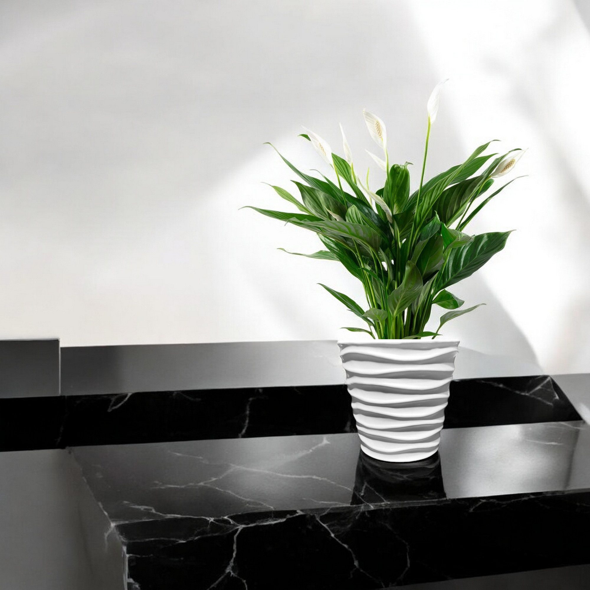 trends for living Dekovase Pflanzengefäß, Blumentopf günstig online kaufen