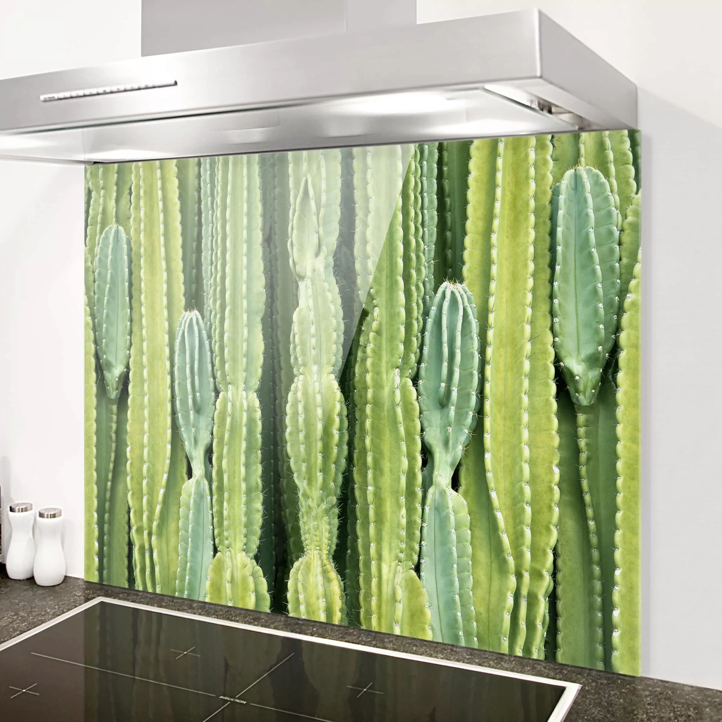 Spritzschutz Kaktus Wand günstig online kaufen