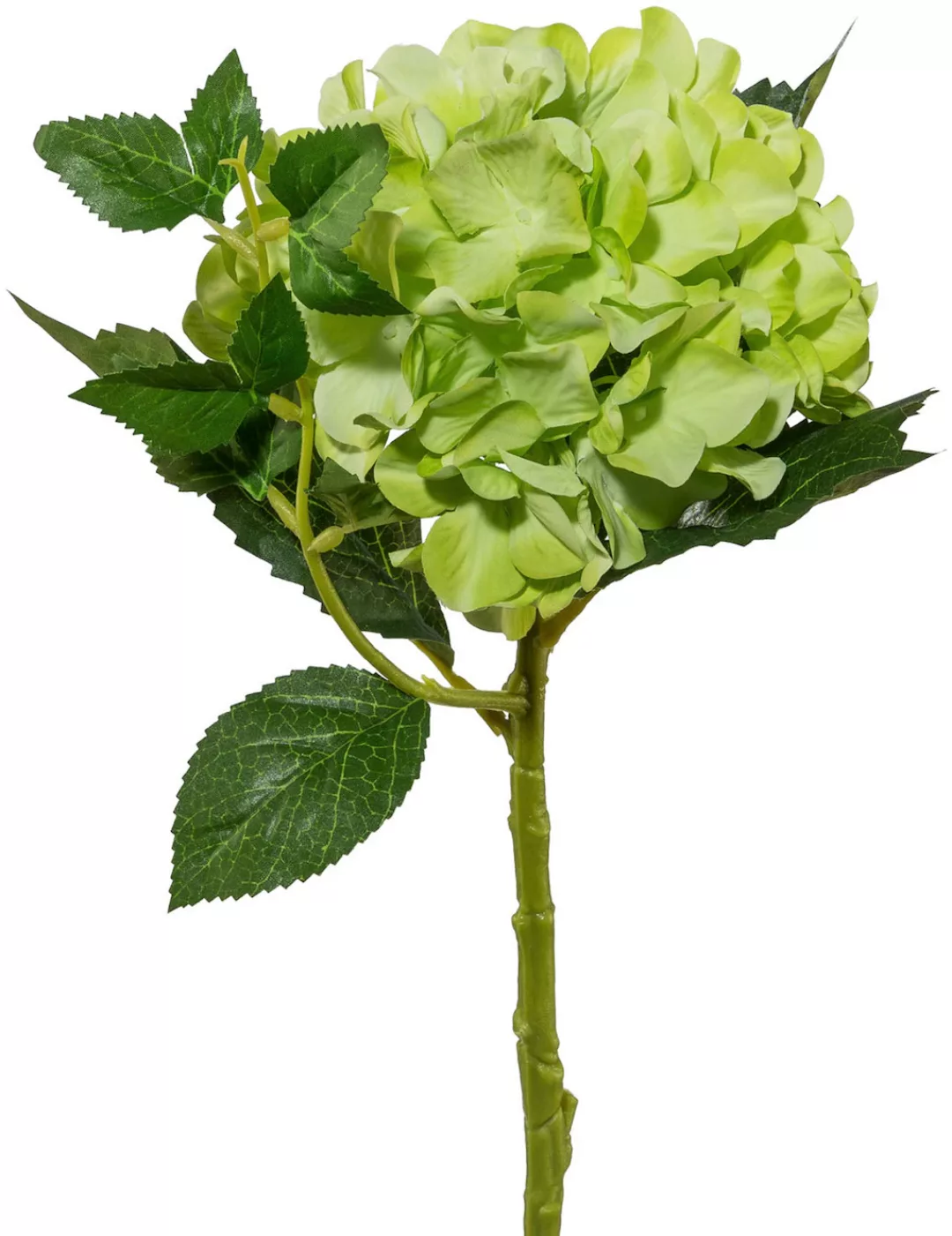 Creativ green Kunstblume "Hortensie" günstig online kaufen