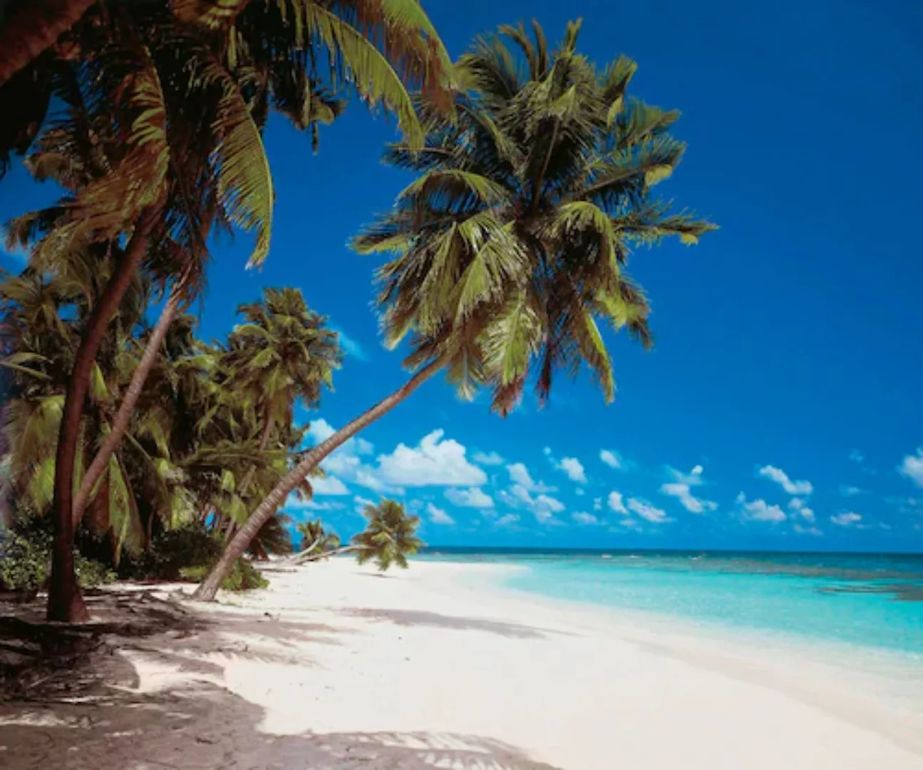 Komar Vliestapete »Maldives«, 300x250 cm (Breite x Höhe), Vliestapete, 100 günstig online kaufen