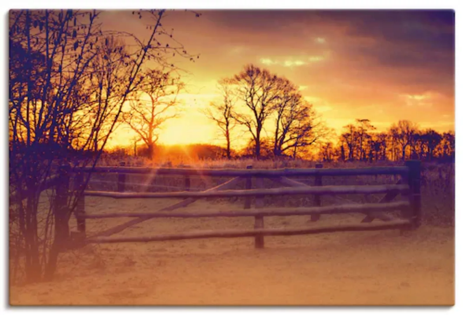 Artland Leinwandbild "Sonnenaufgang im Februar", Sonnenaufgang & -untergang günstig online kaufen