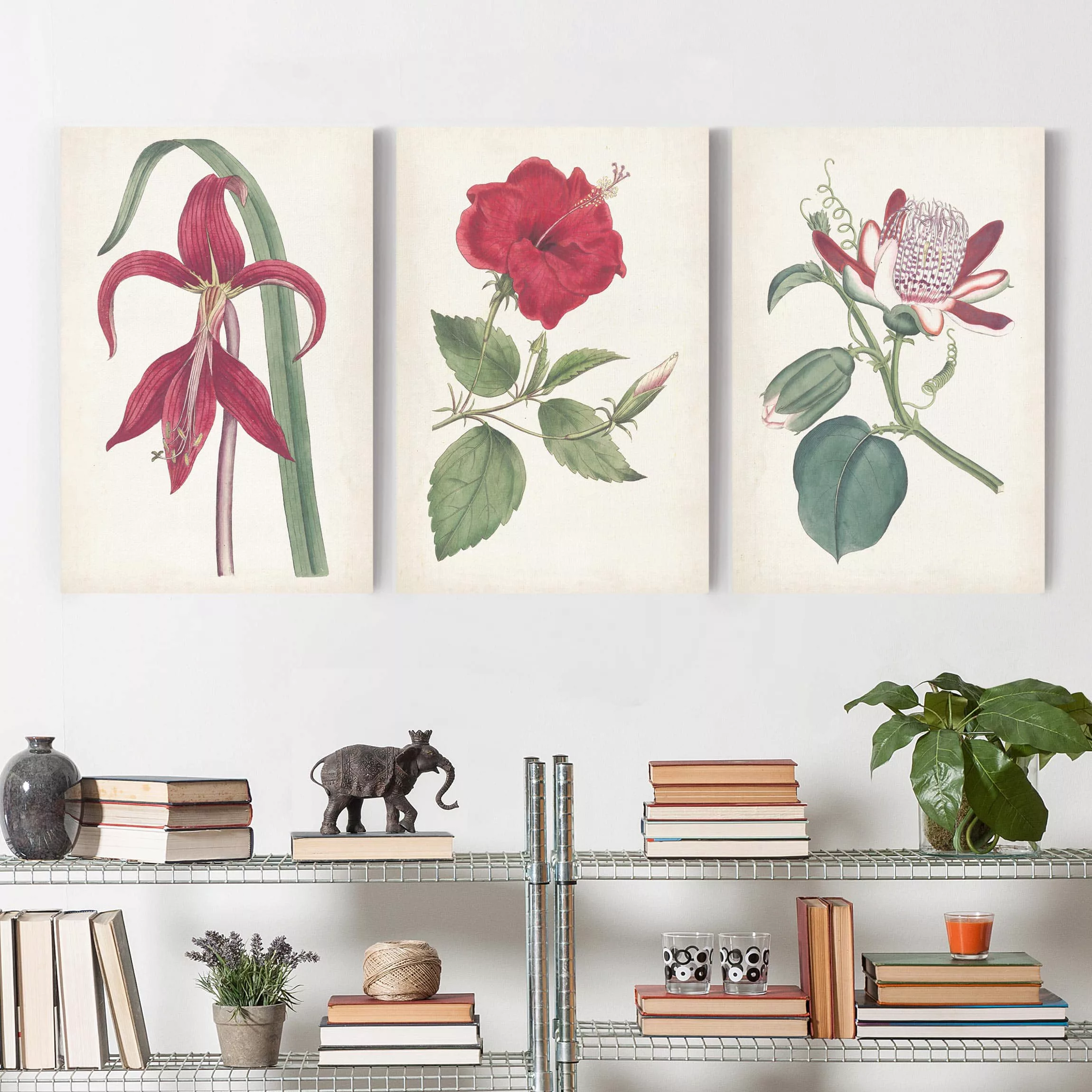 3-teiliges Leinwandbild Blumen - Hochformat Gartenschönheit Set I günstig online kaufen