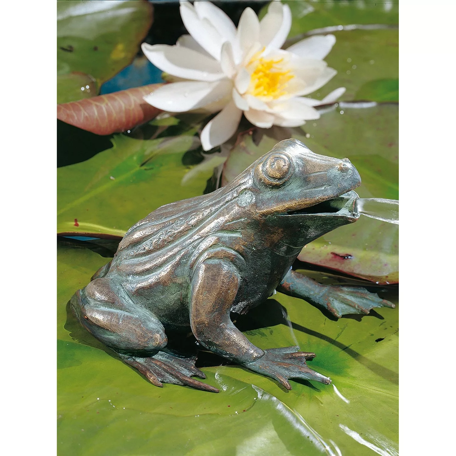 Teichfigur Wasserspeier Frosch Bronze HxBxT 11 x 16 x 13 cm günstig online kaufen