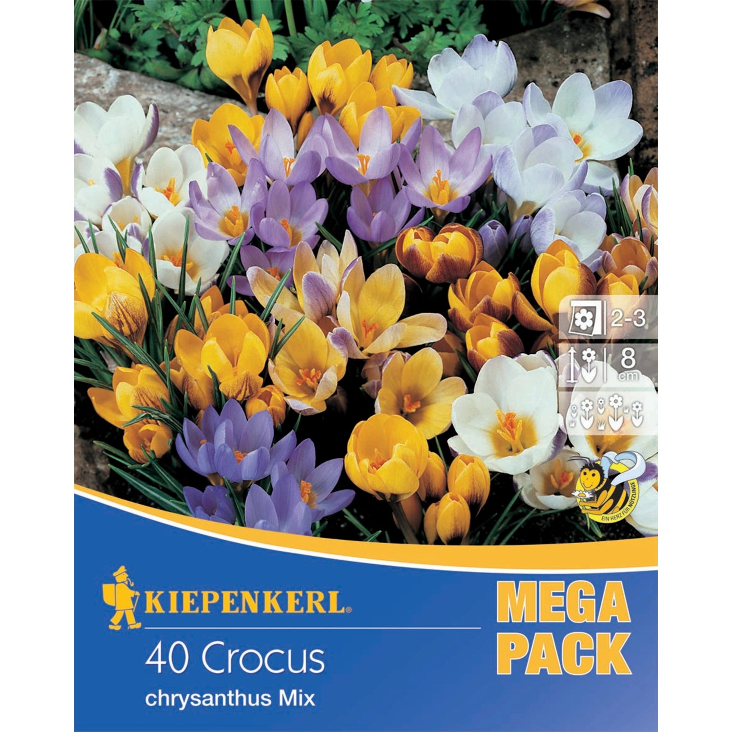 Kiepenkerl Blumenzwiebeln Mega-Pack Wildkrokusmischung  40 Stück günstig online kaufen