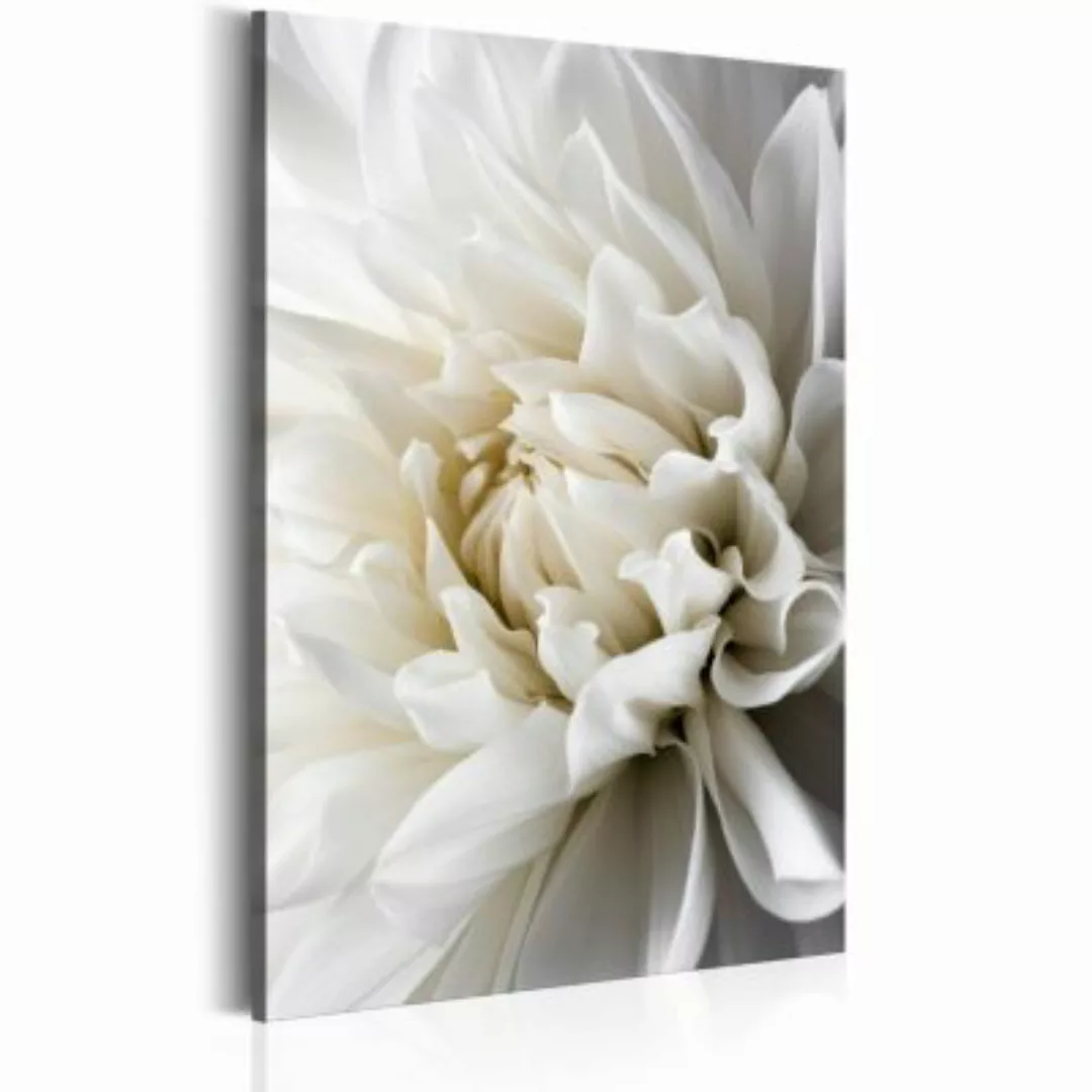 artgeist Wandbild White Dahlia weiß Gr. 40 x 60 günstig online kaufen
