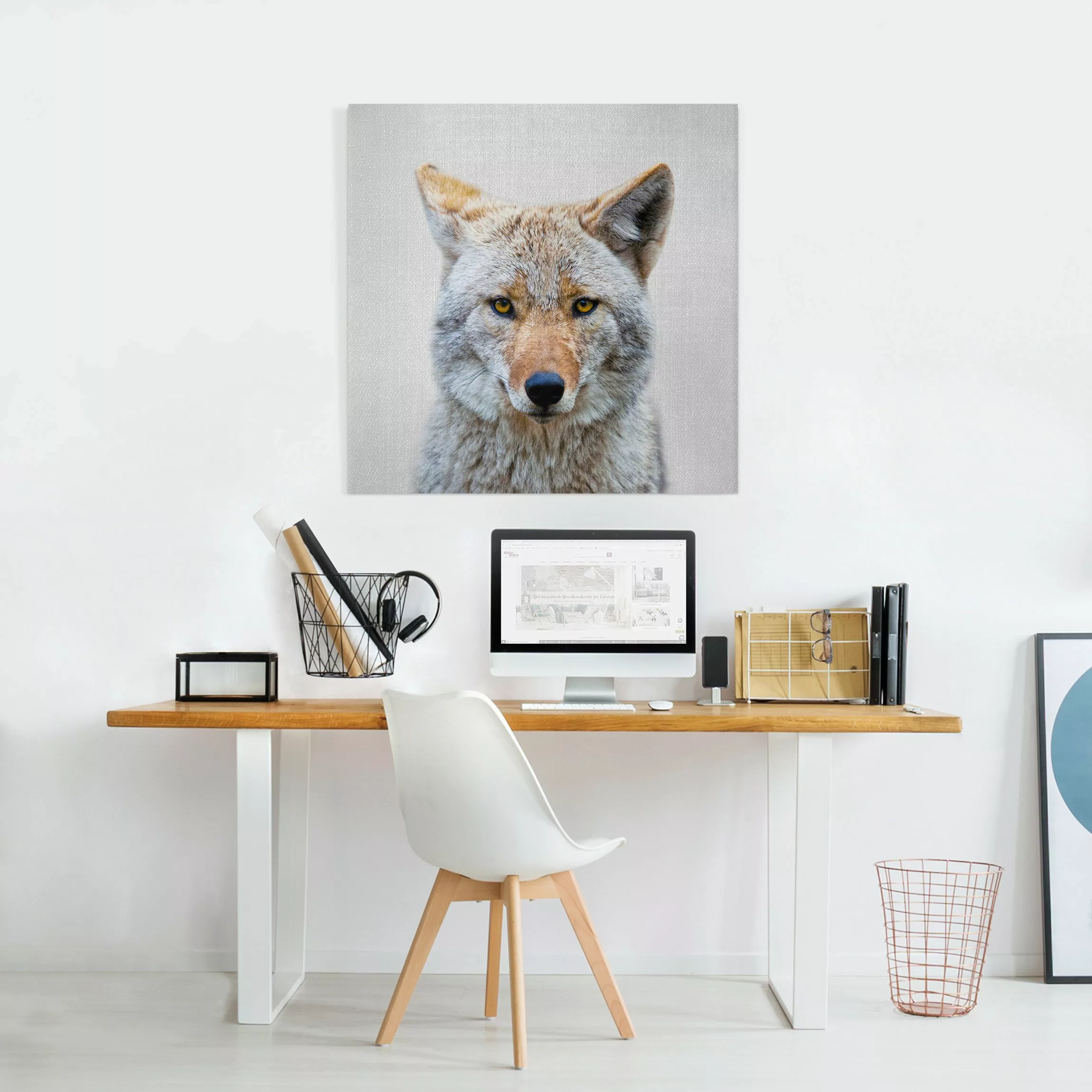 Leinwandbild Kojote Kalle günstig online kaufen