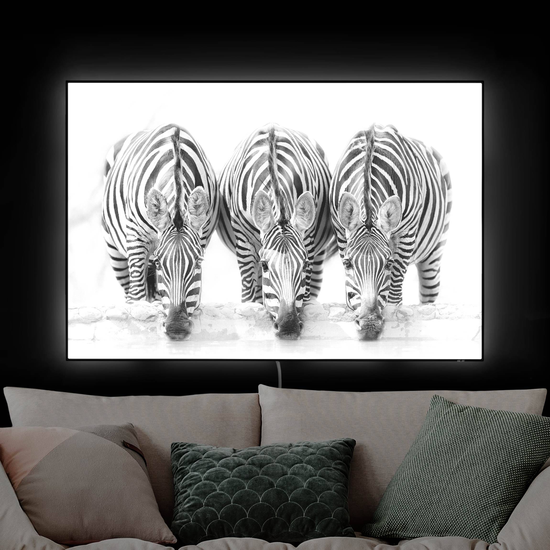 LED-Wechselbild Zebra Trio schwarz-weiß günstig online kaufen