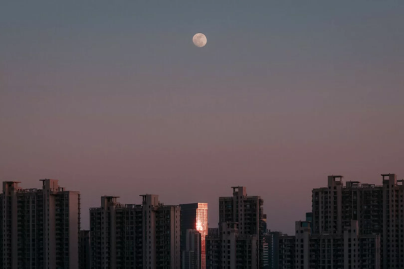 Poster / Leinwandbild - Shanghai Moonbeams günstig online kaufen