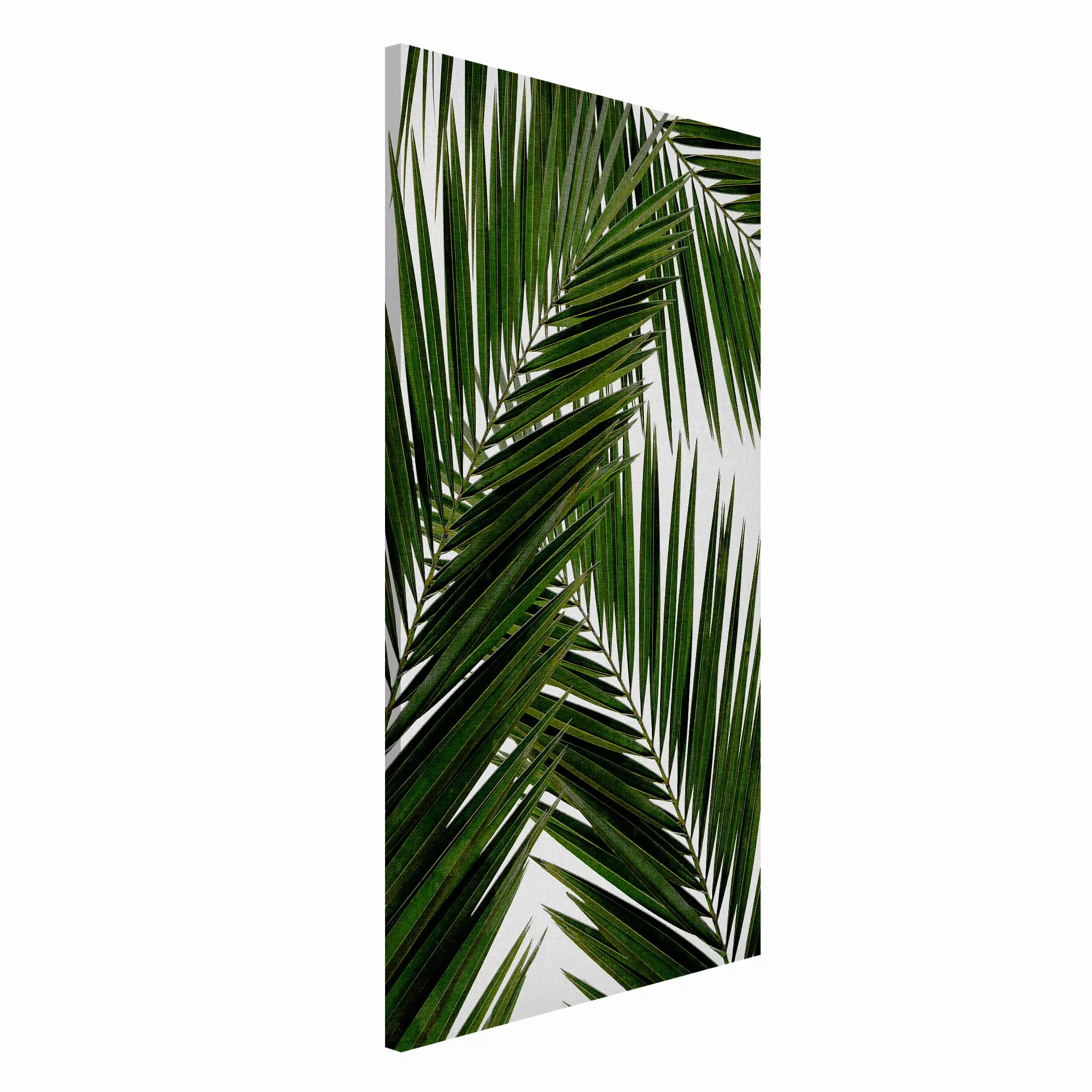 Magnettafel Blick durch grüne Palmenblätter günstig online kaufen