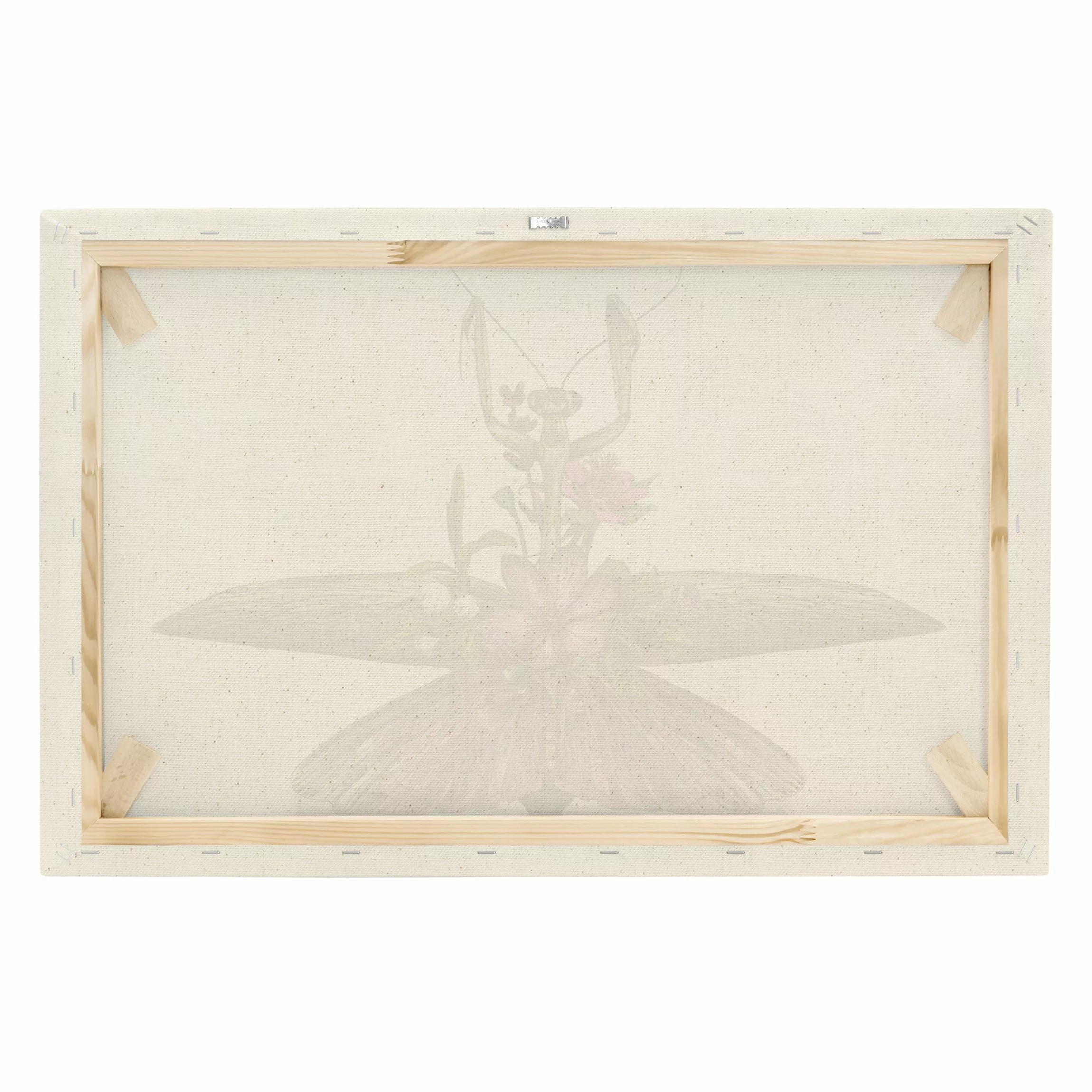 Leinwandbild auf Naturcanvas Illustration florale Mantis günstig online kaufen